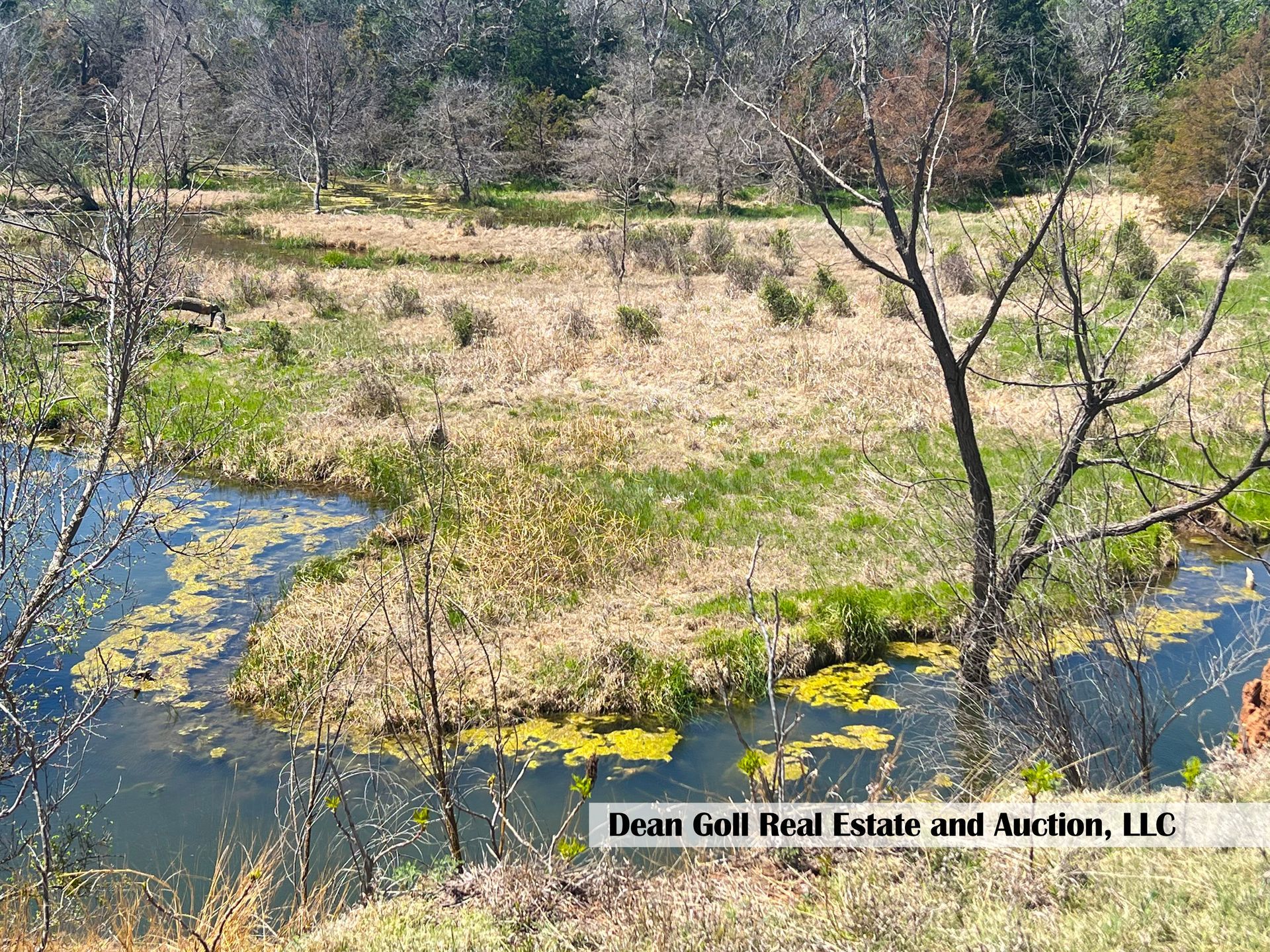 There is a small pond in the middle of a field surrounded by trees