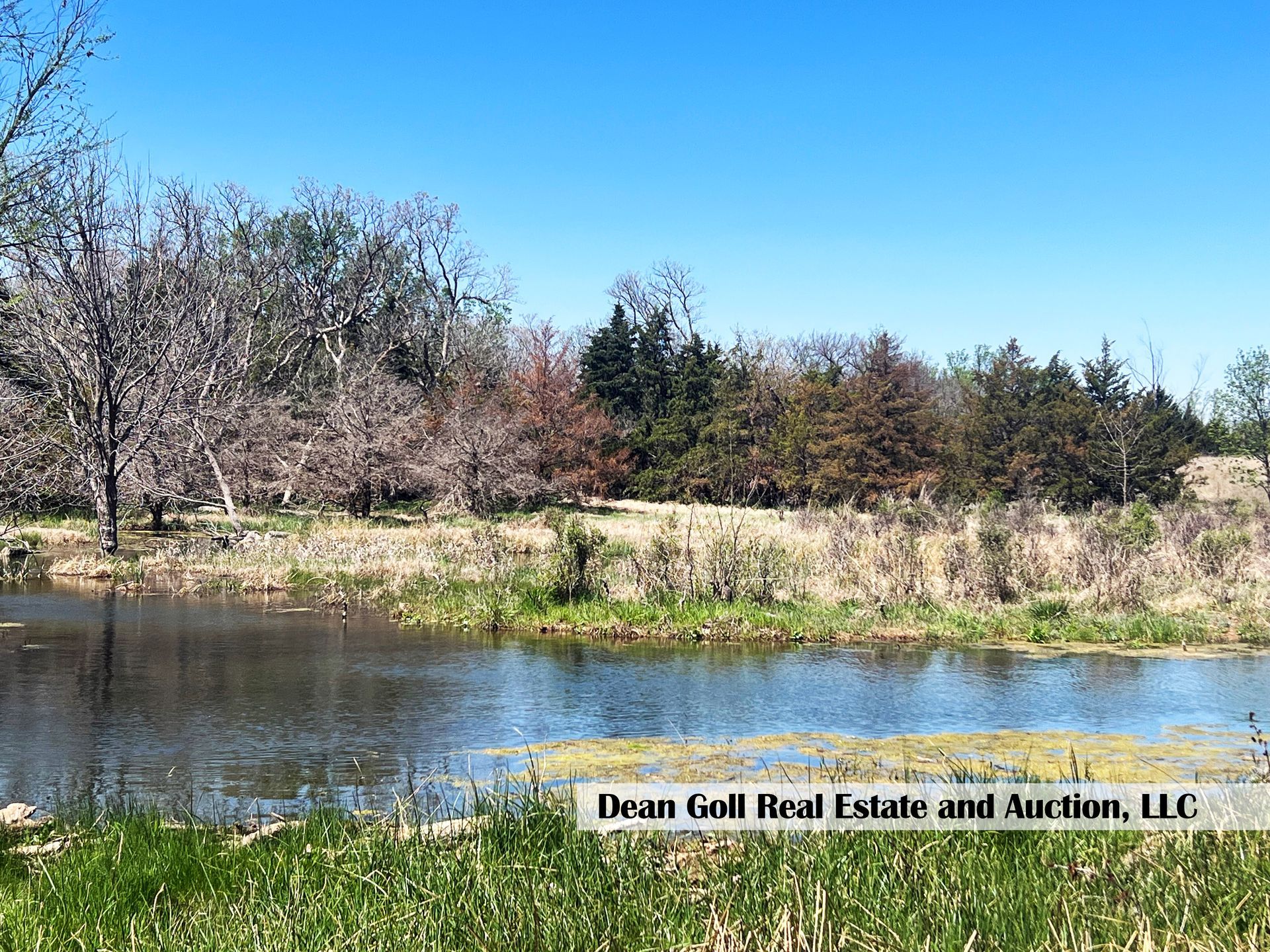 A large body of water in the middle of a field with trees in the background