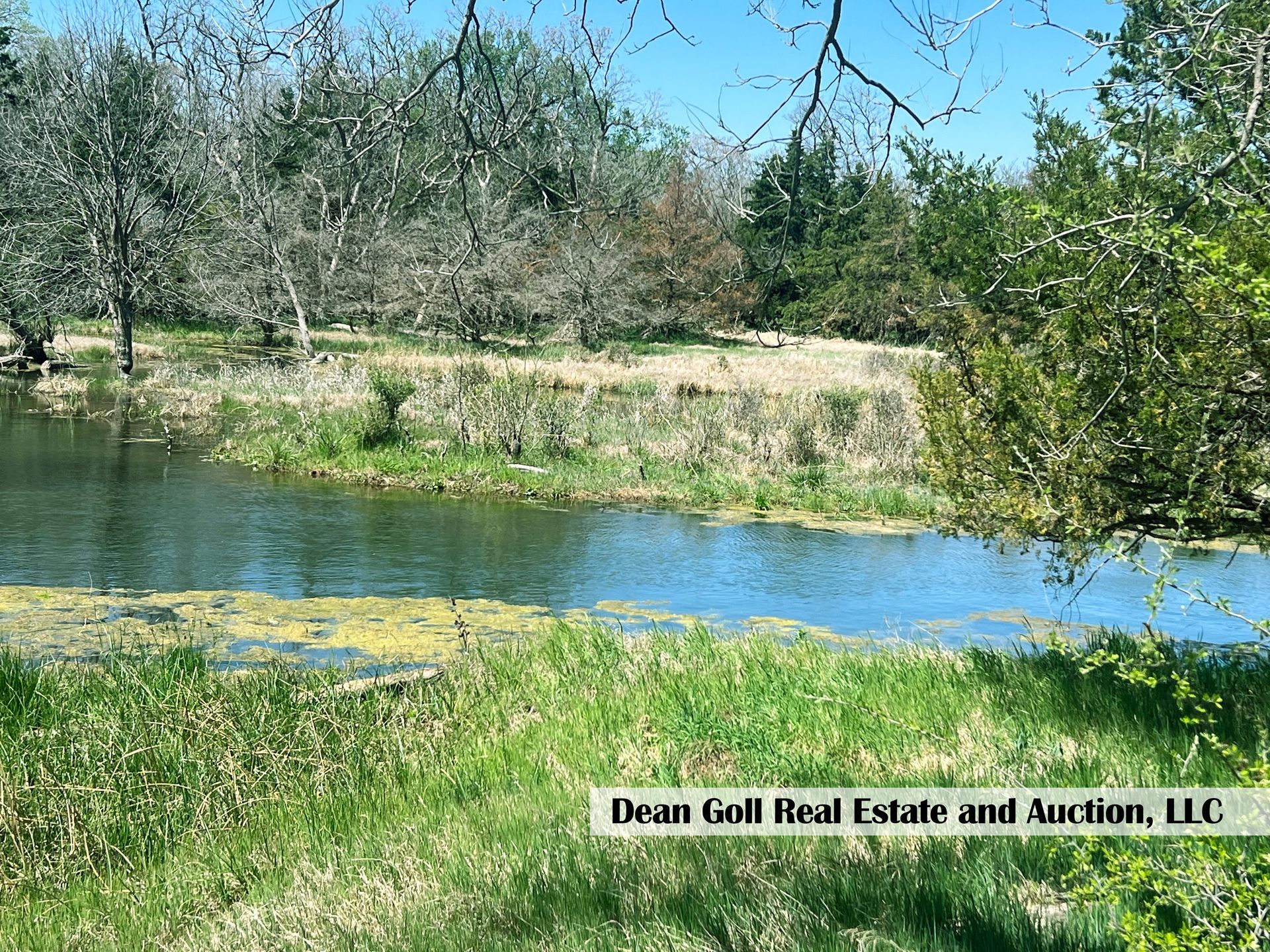 A large body of water surrounded by grass and trees