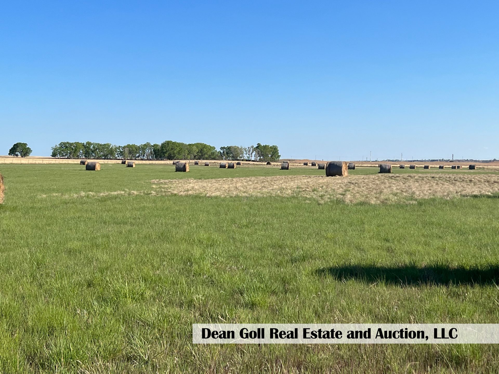 A field of hay bales with a blue sky in the background