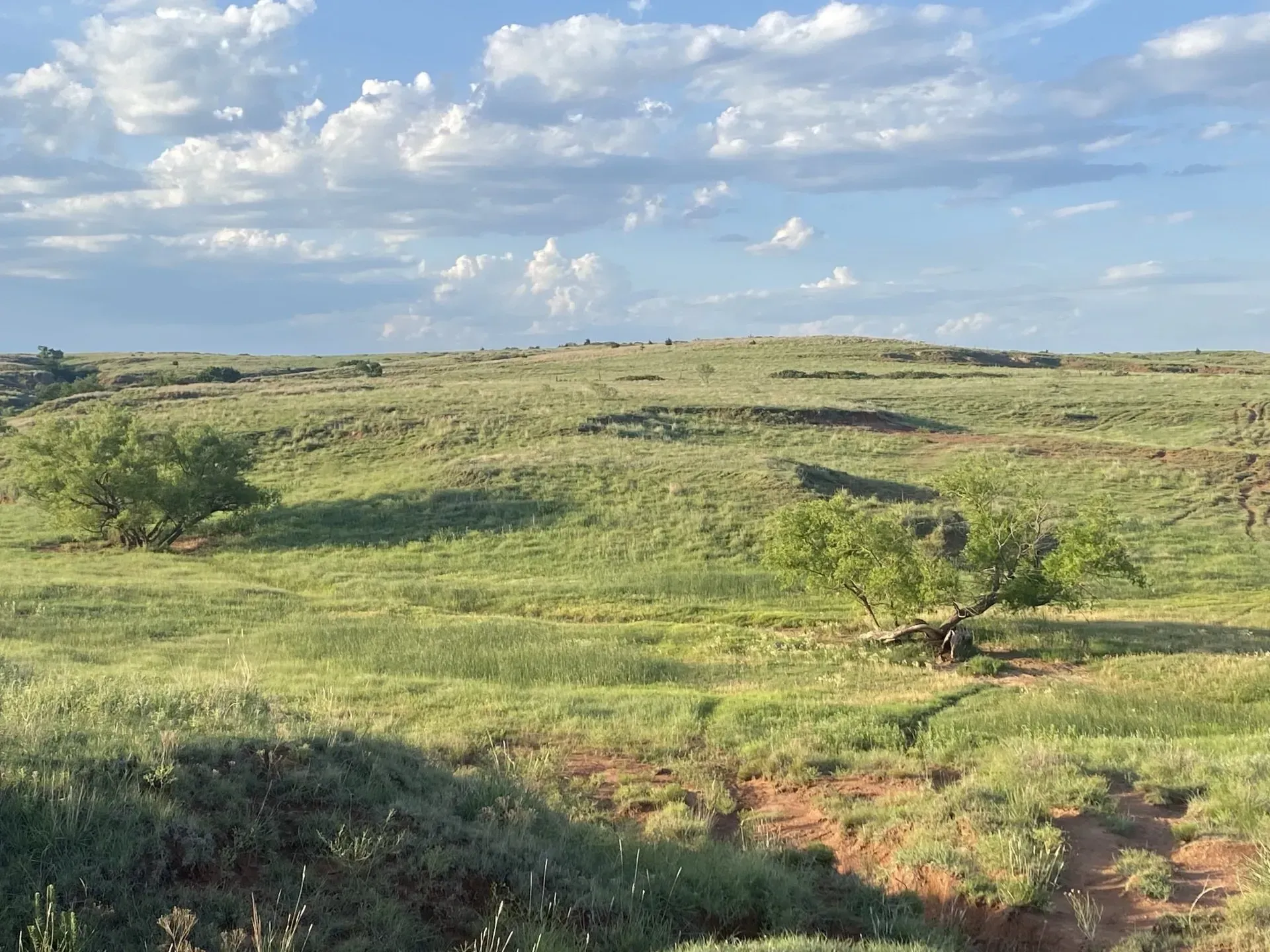 960 Acres Grassland Woods Country, OK