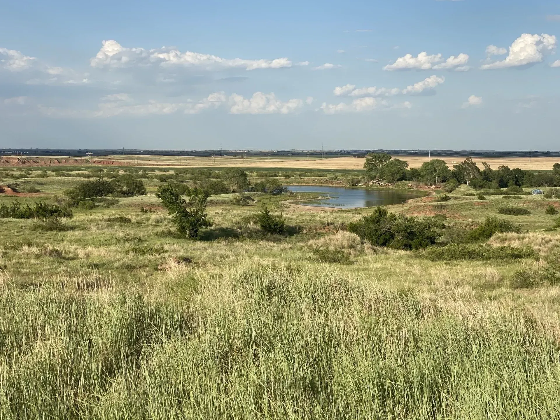 Lake in the middle of a grassy field