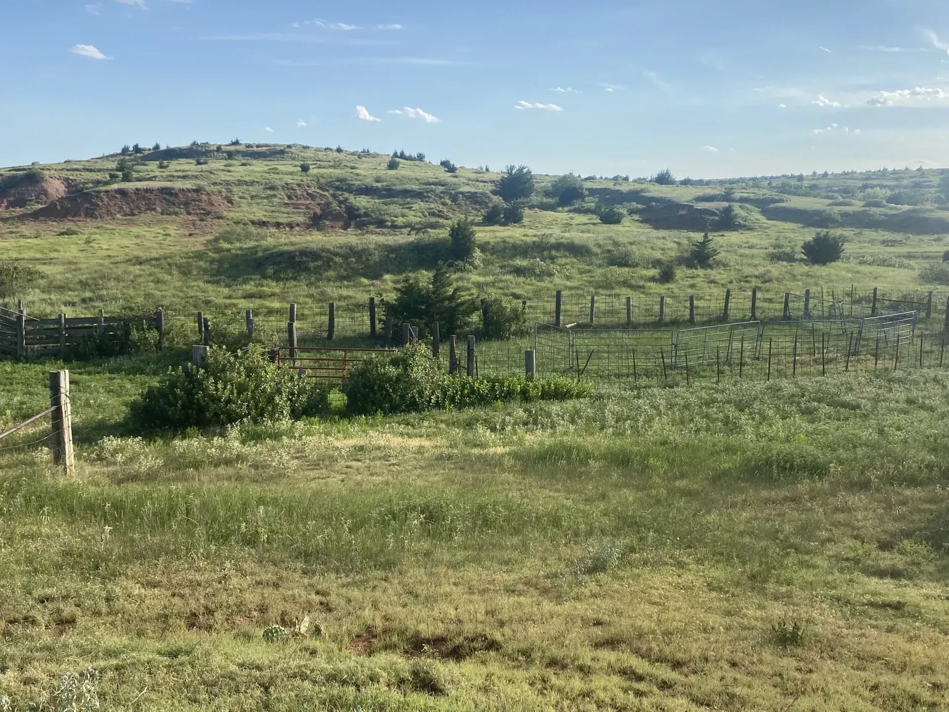 A fence surrounds a grassy field with a hill in the background
