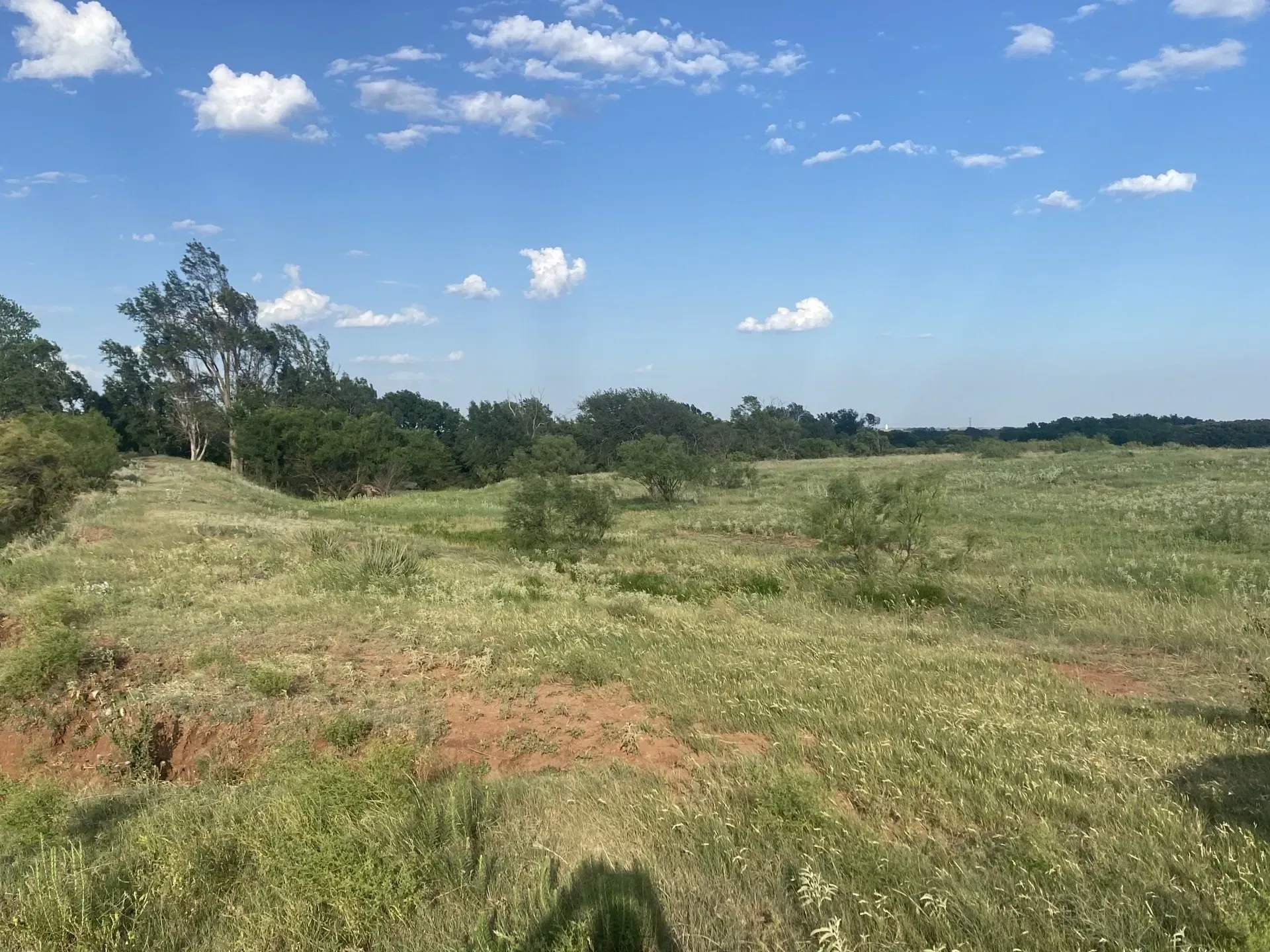 A large grassy field with trees in the background and a blue sky with clouds