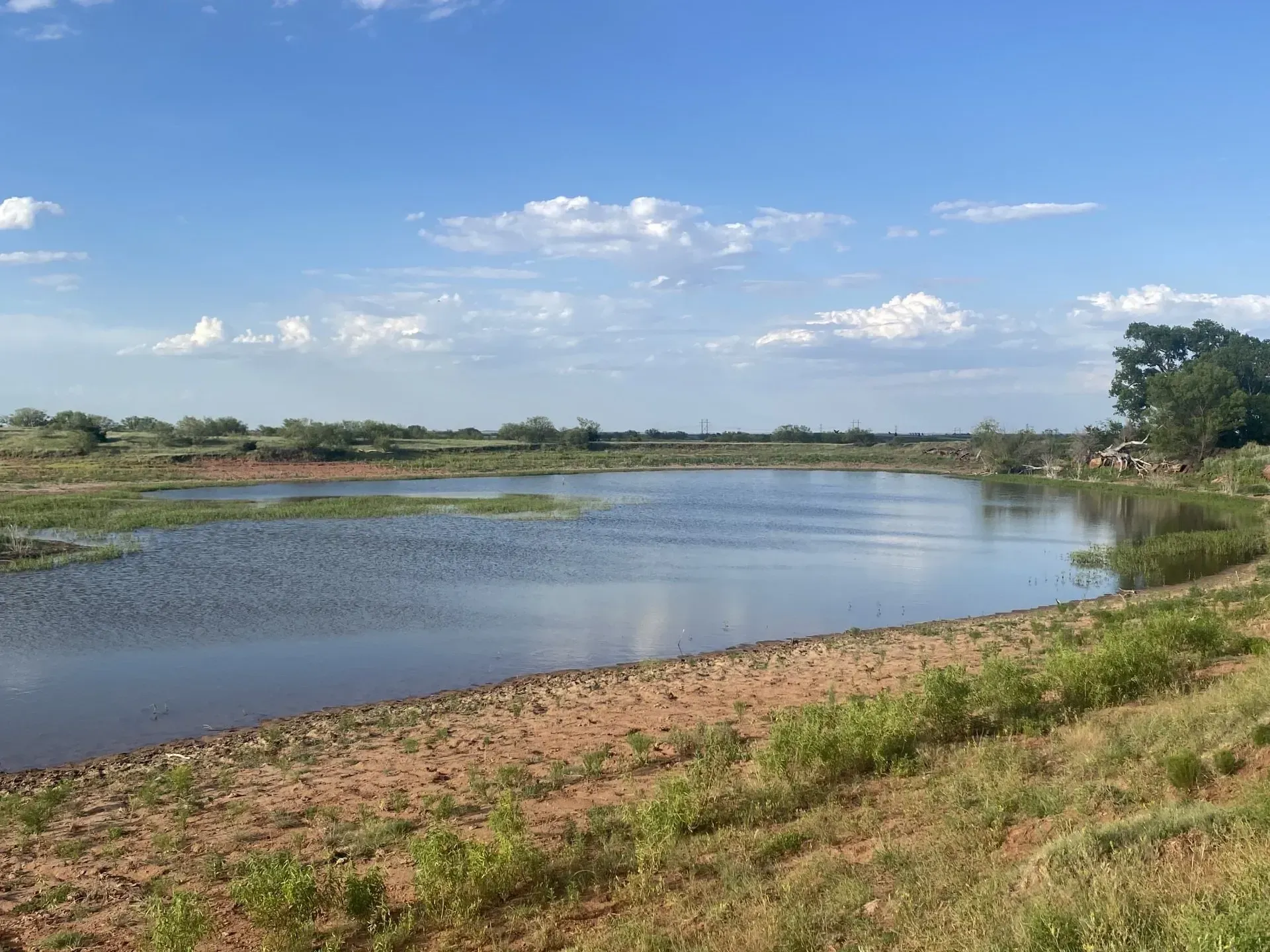 A large body of water surrounded by grass and trees on a sunny day