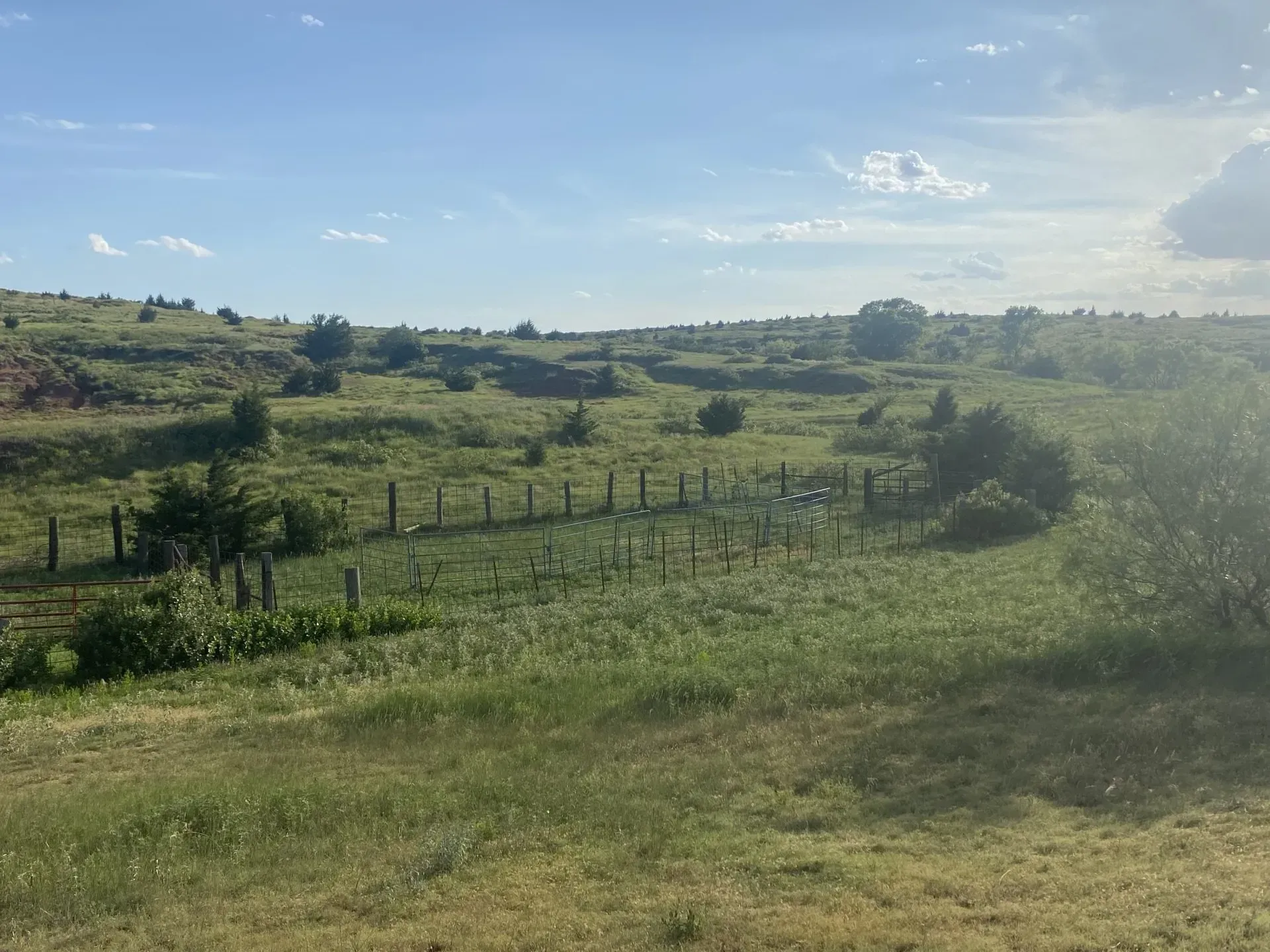 A grassy field with a fence in the foreground and a blue sky in the background