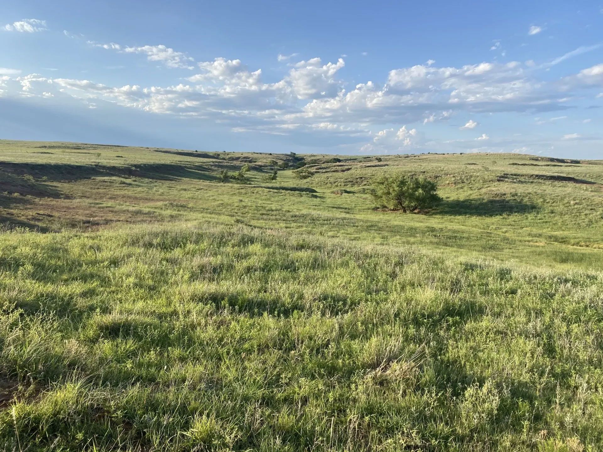 A large grassy field with a blue sky in the background