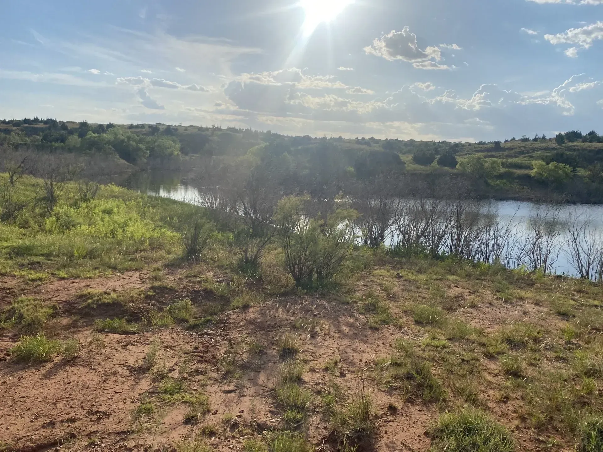 A large body of water is surrounded by trees and grass