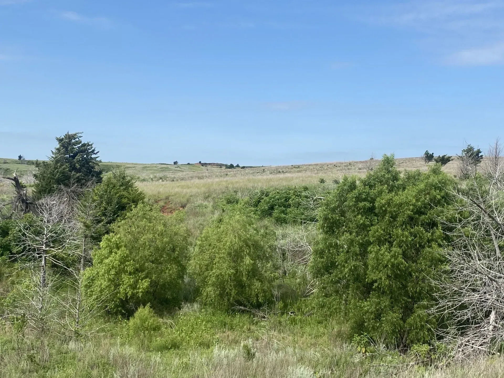 80 Acres Grassland