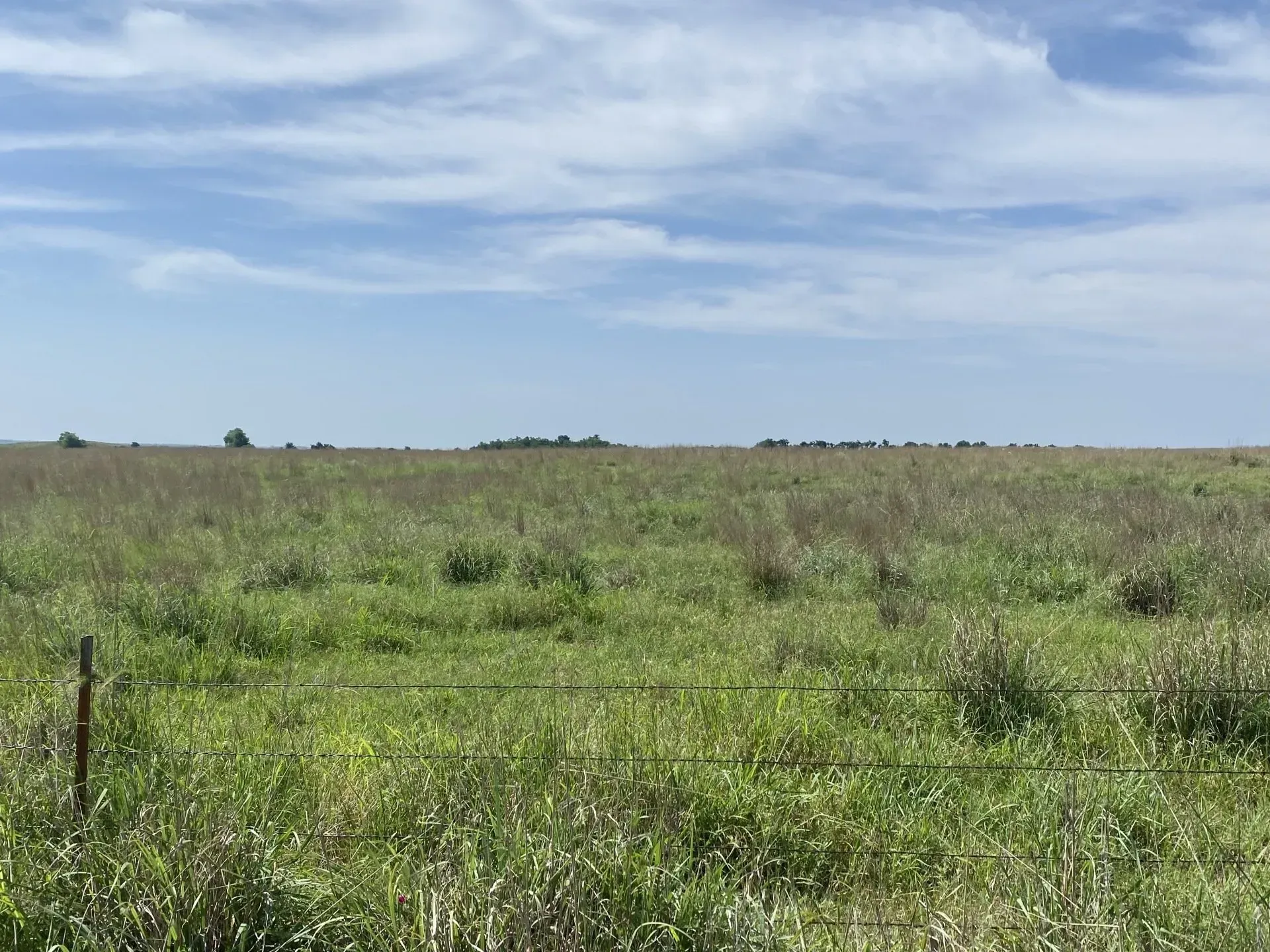 Commercial Grassland