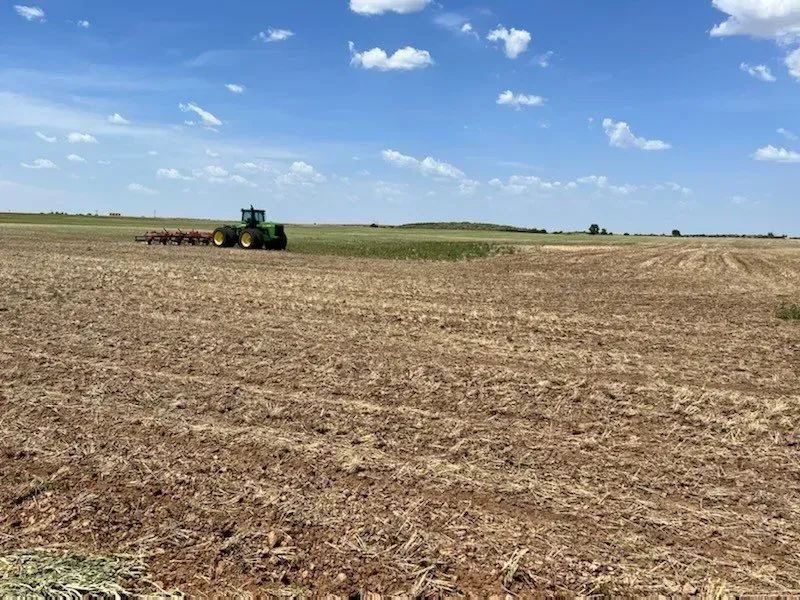 4 Acres Scattered Grass Fields