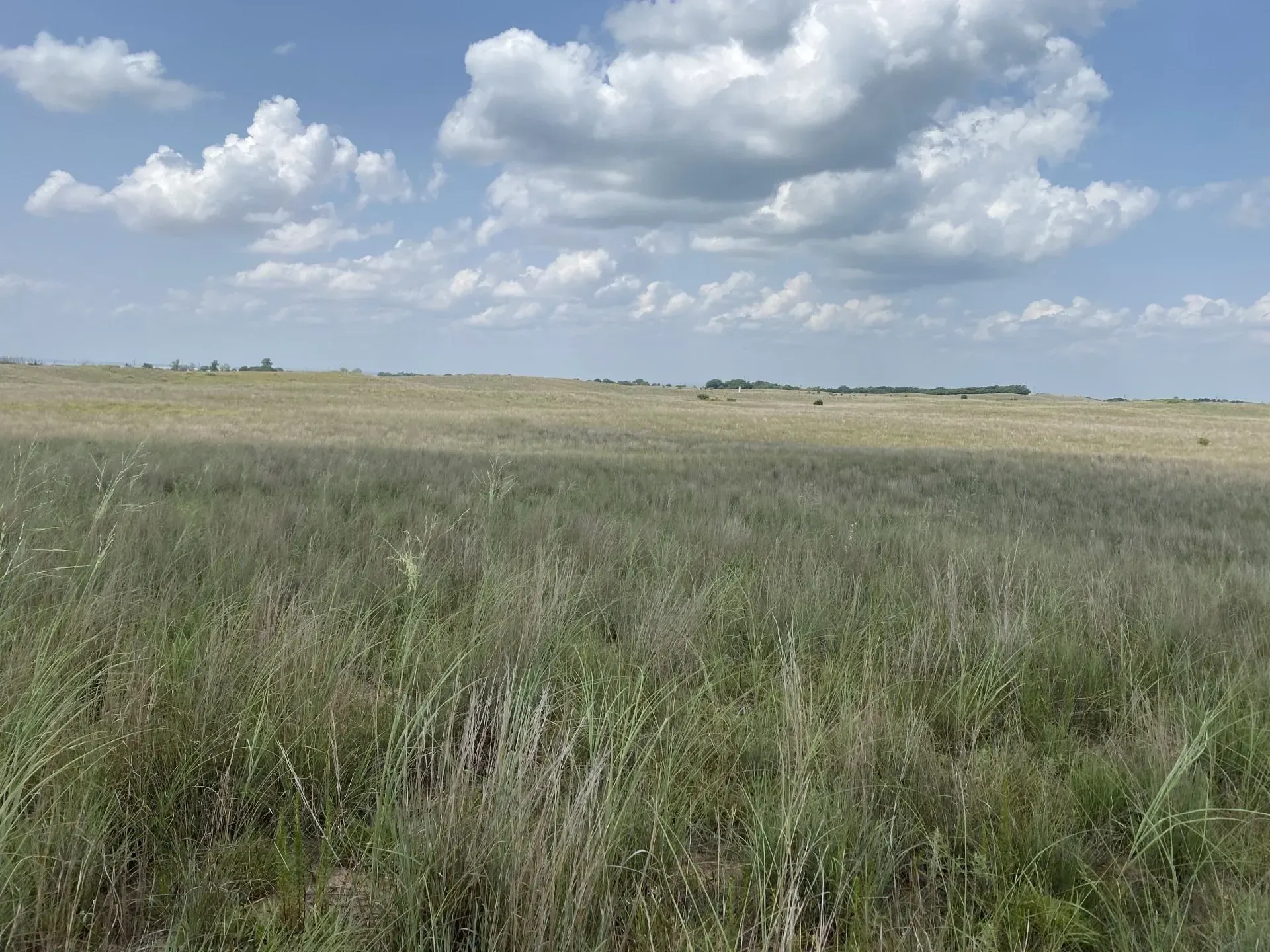 Grassland For Sale