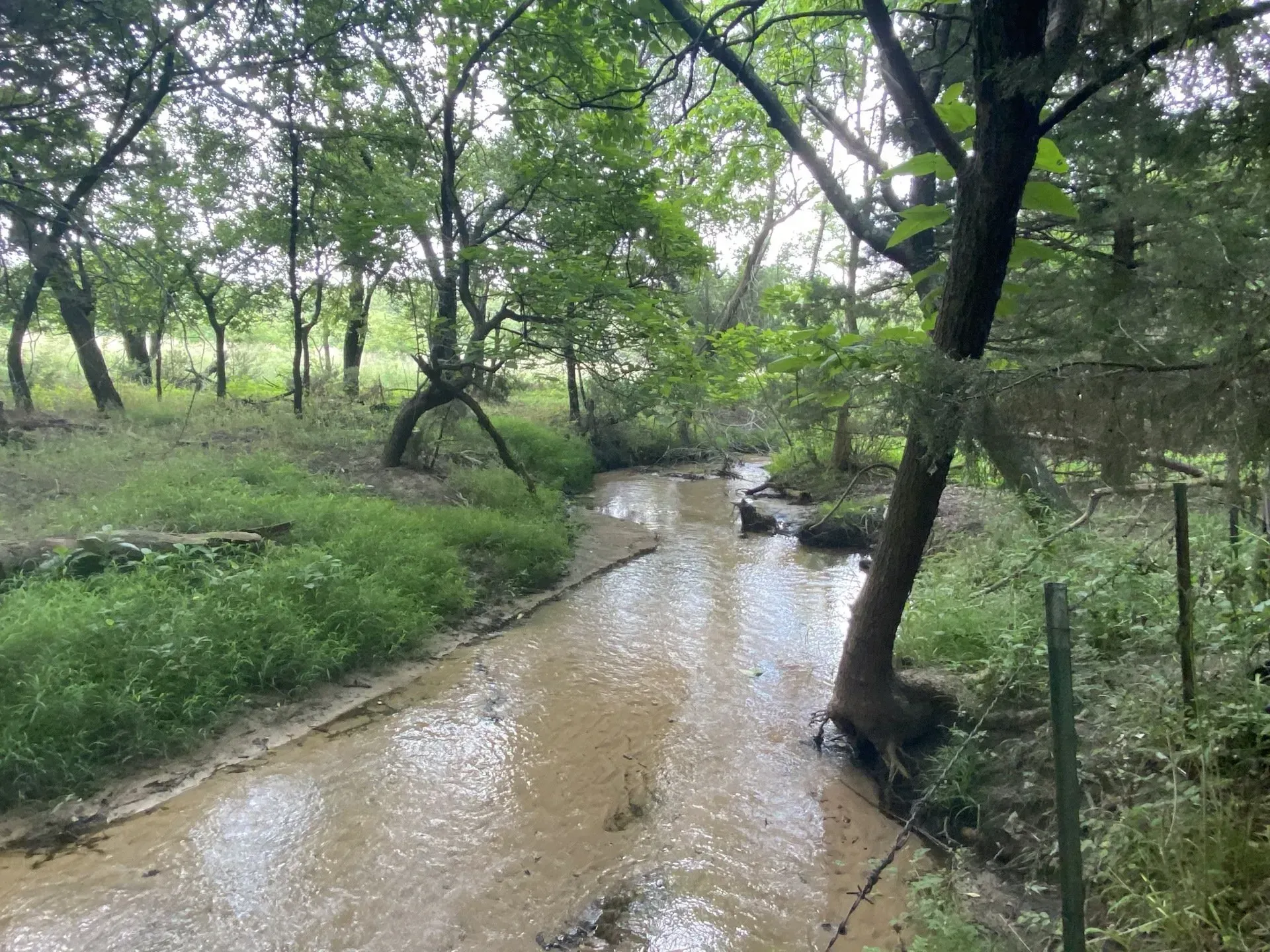 Wildlife for Hunting