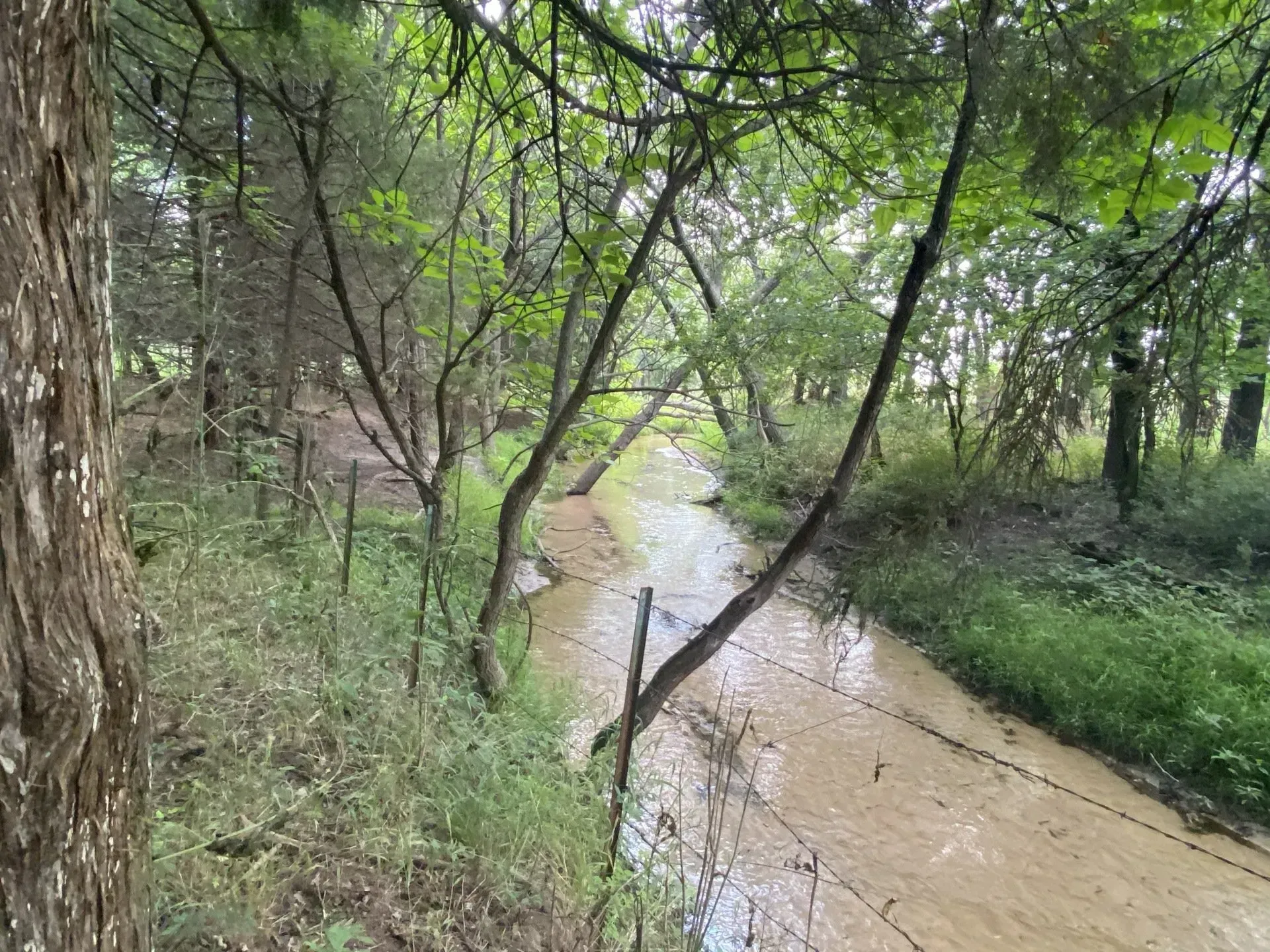 Wildlife for Hunting