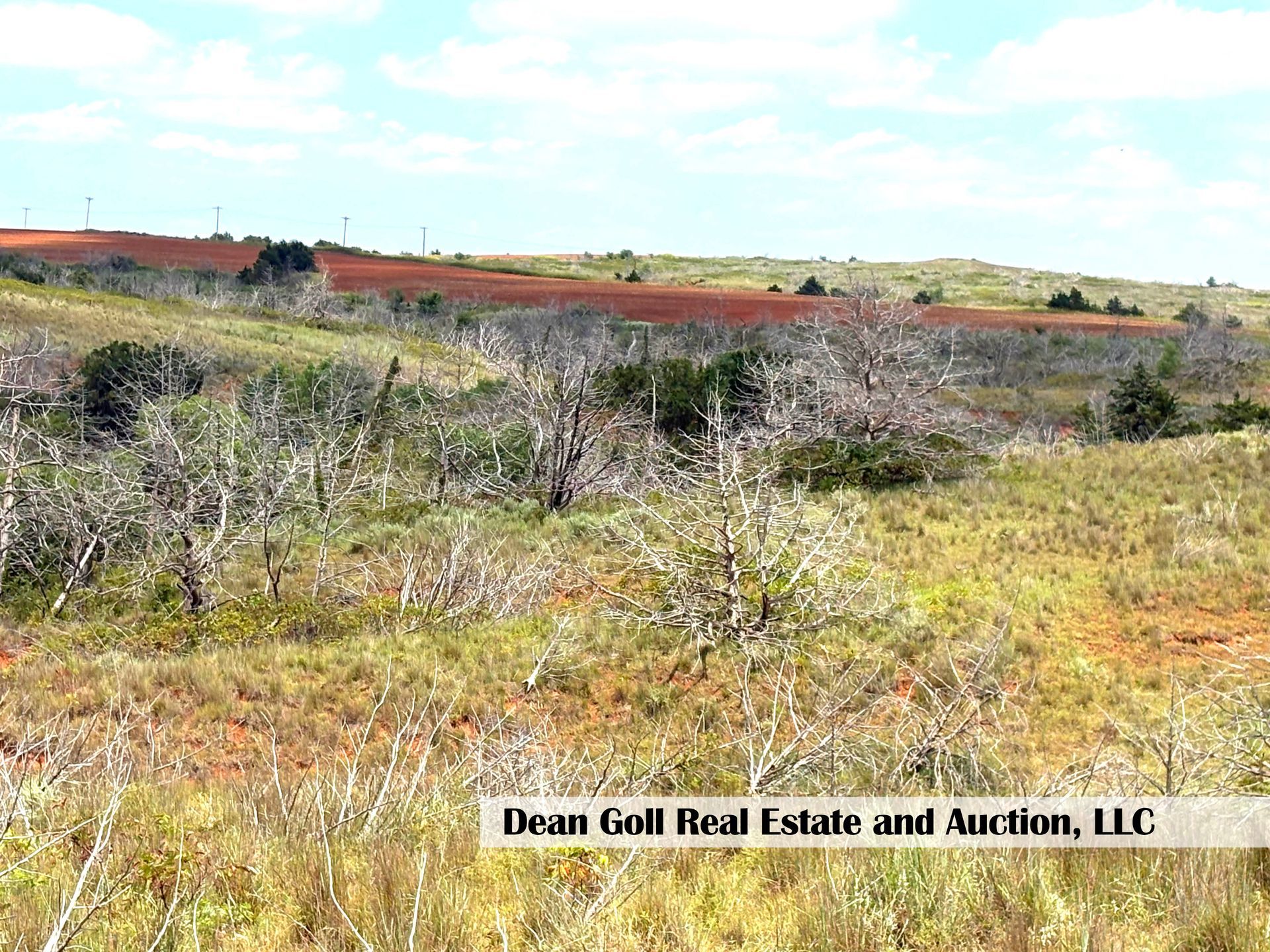 A grassy field with scattered bare trees and a reddish-brown hillside under a blue sky.