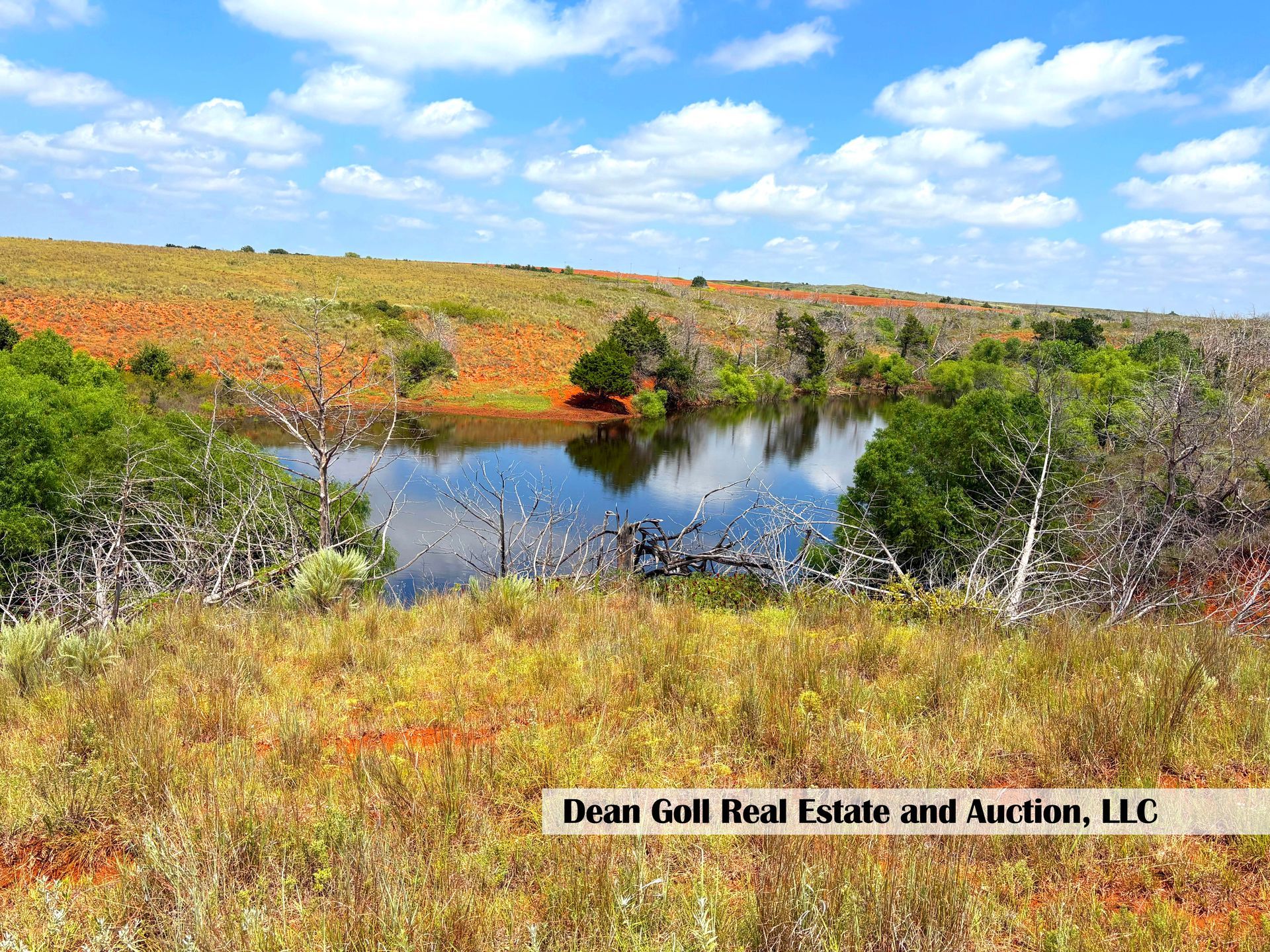 Scenic view of a pond surrounded by dry grass and trees under a blue sky with clouds.