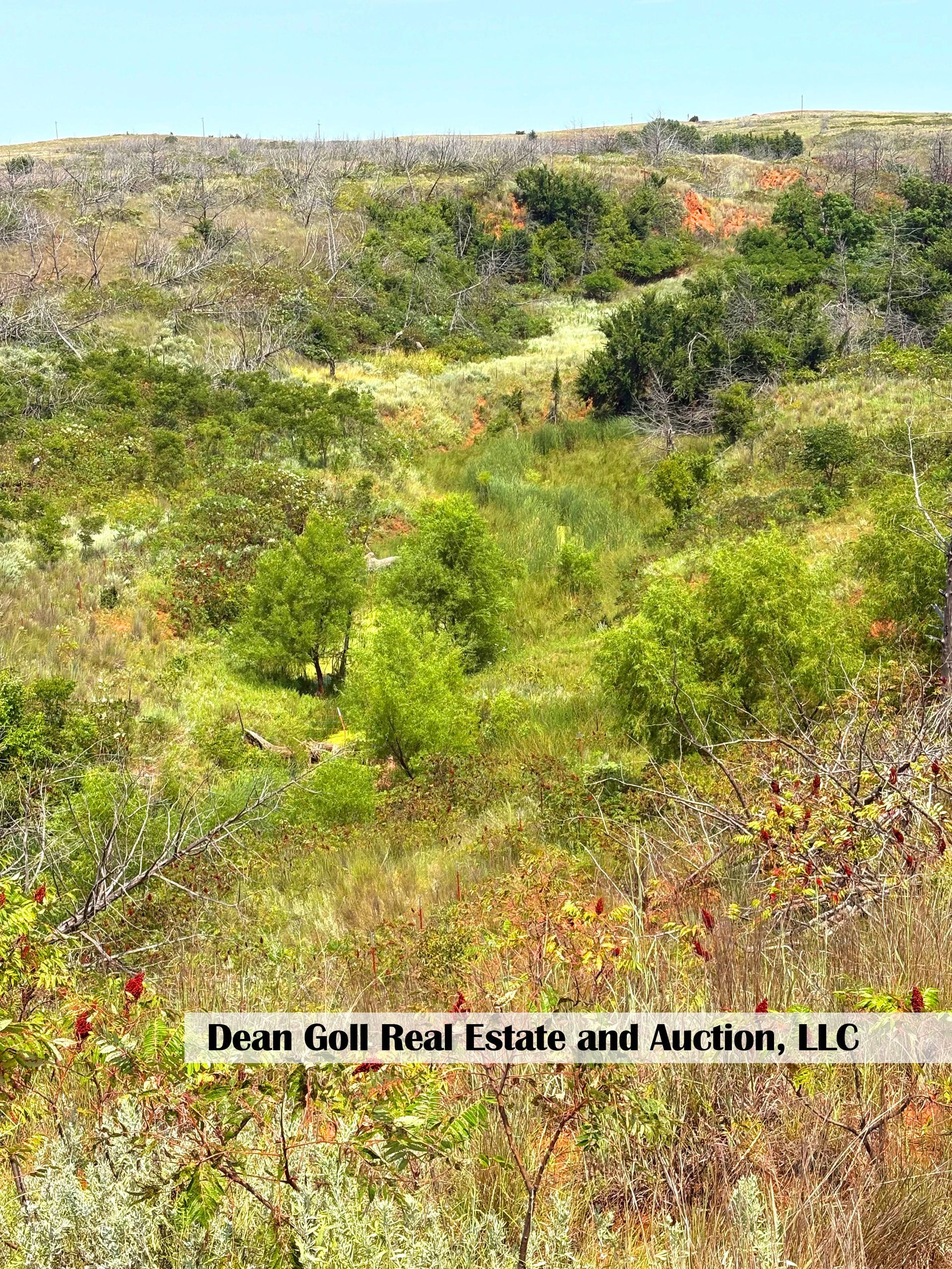 Green and brown hillside with sparse vegetation under a blue sky.