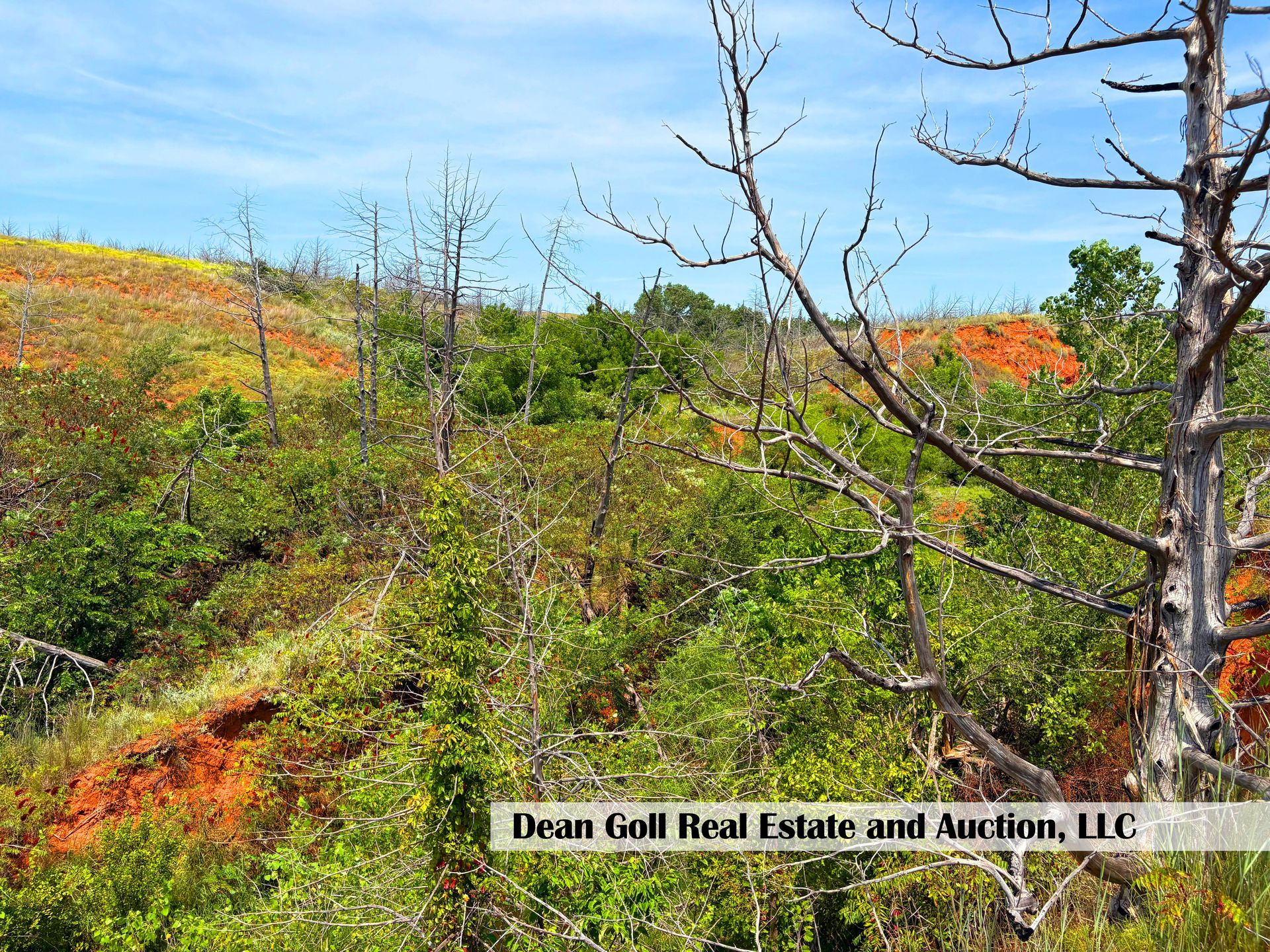 A landscape with red earth, green vegetation, and dry trees under a blue sky.