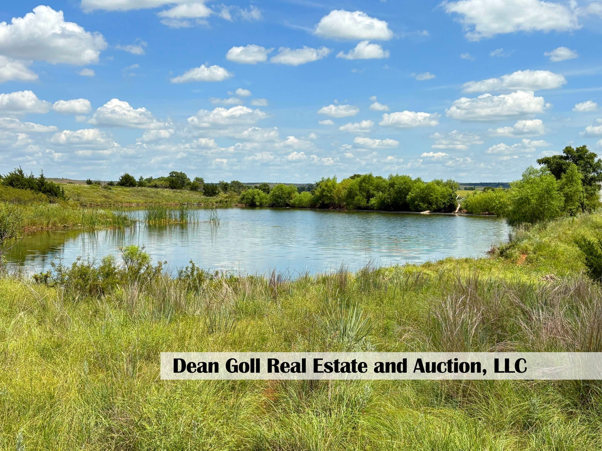 A pond surrounded by green grass and foliage under a blue sky with clouds. Real estate branding is visible.