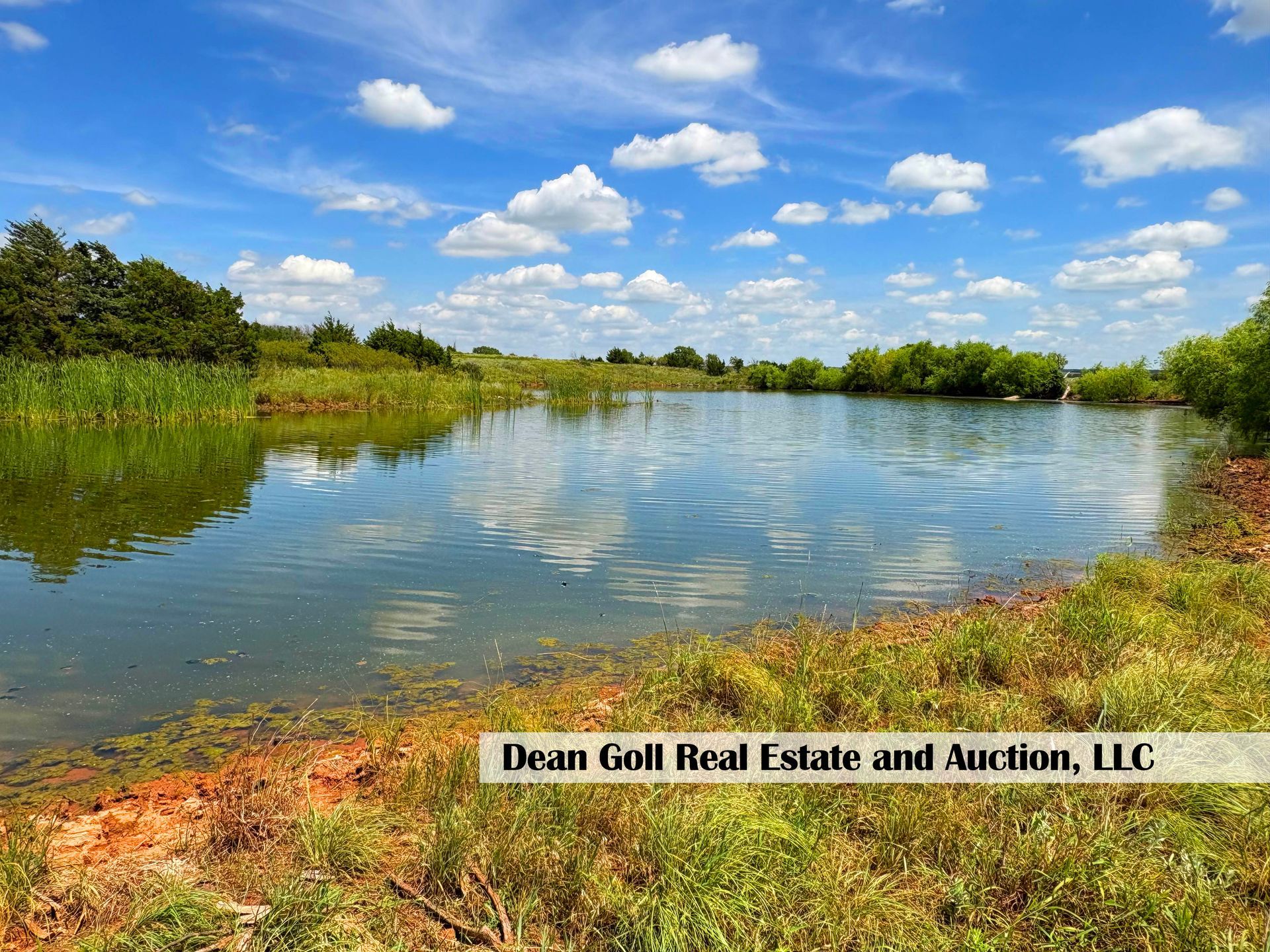 A calm pond reflects a blue sky with fluffy clouds. Green vegetation lines the banks.