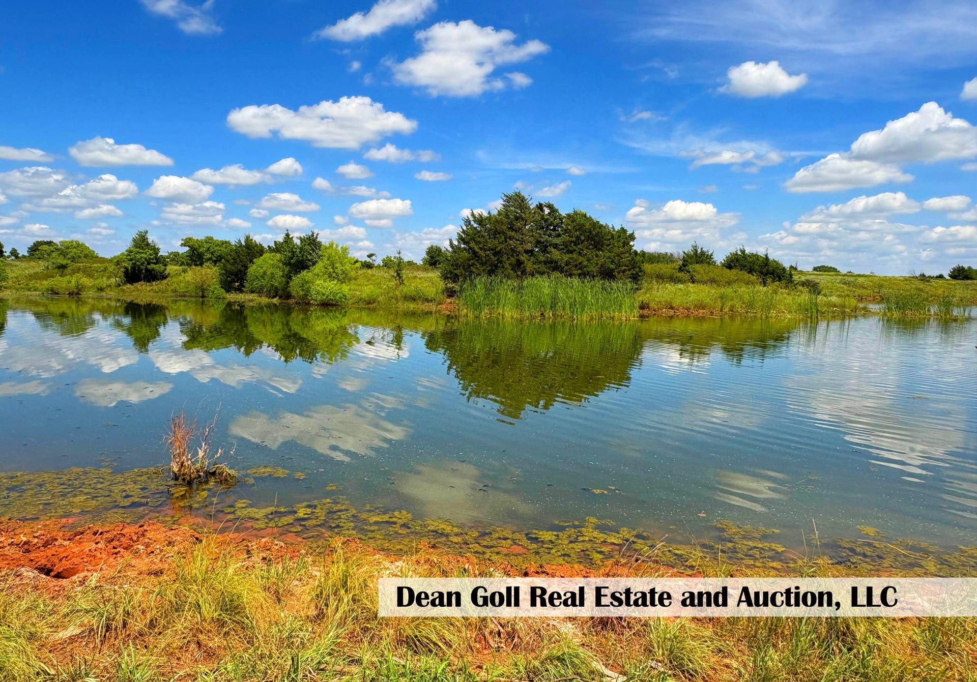 A tranquil lake reflects a bright blue sky with puffy clouds. Lush green foliage lines the water's edge under the sun.
