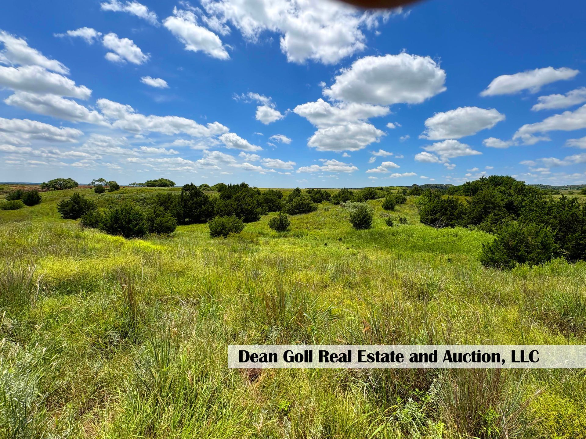 Open field with scattered green bushes under a bright blue sky with puffy white clouds.