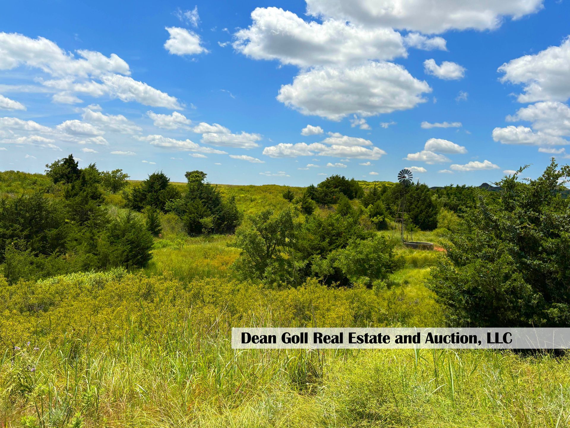 Grassy field with scattered trees under a bright blue sky dotted with fluffy white clouds.