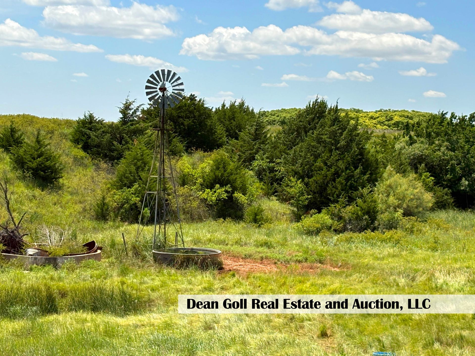 Windmill in a field with green grass and trees under a blue sky.  A water trough sits below the windmill.