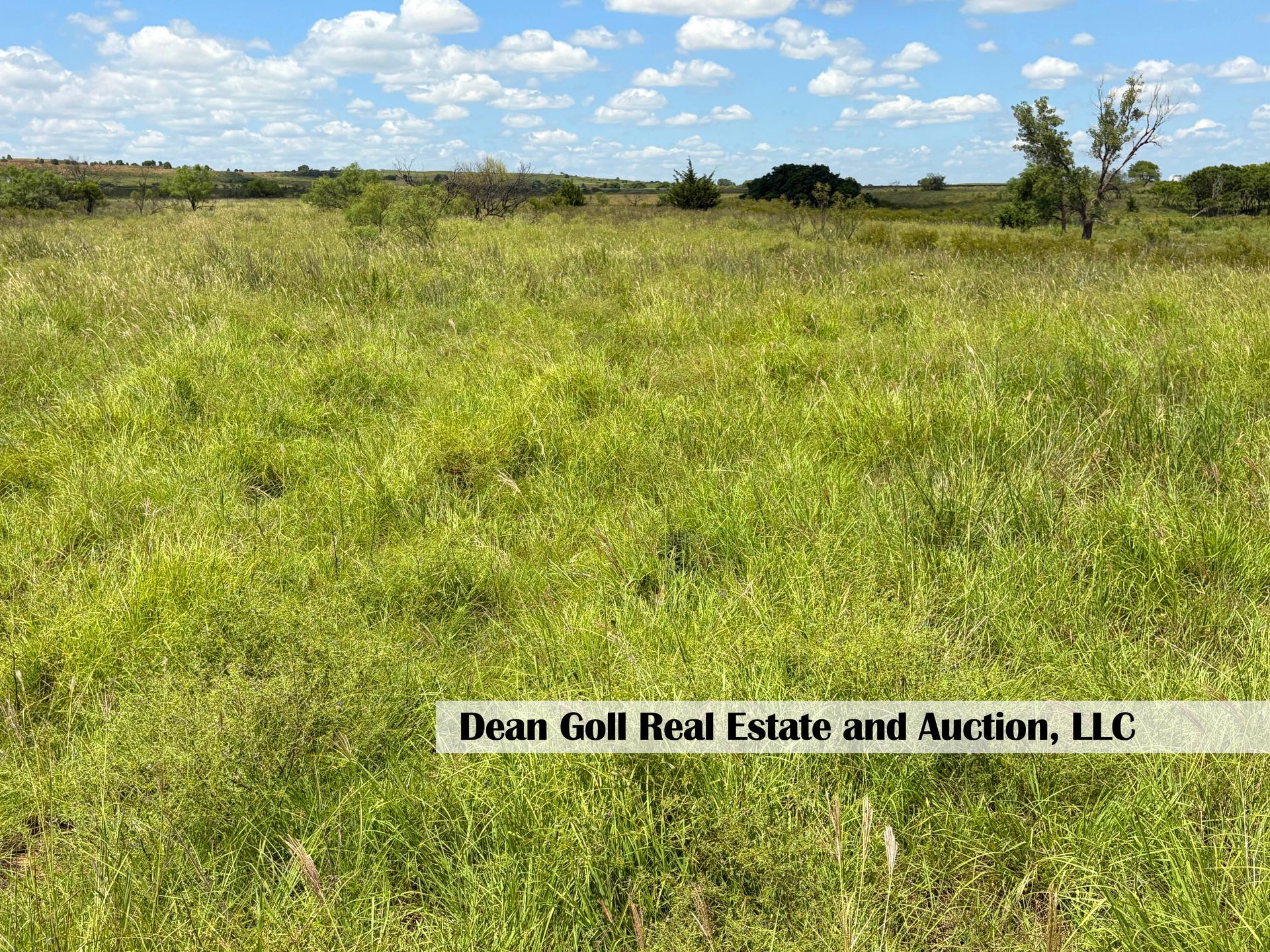 Grassy field under a blue sky dotted with clouds; text on the lower section identifies Dean Goll Real Estate and Auction, LLC.