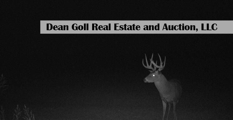A large buck with impressive antlers at night, likely captured by a trail camera. 