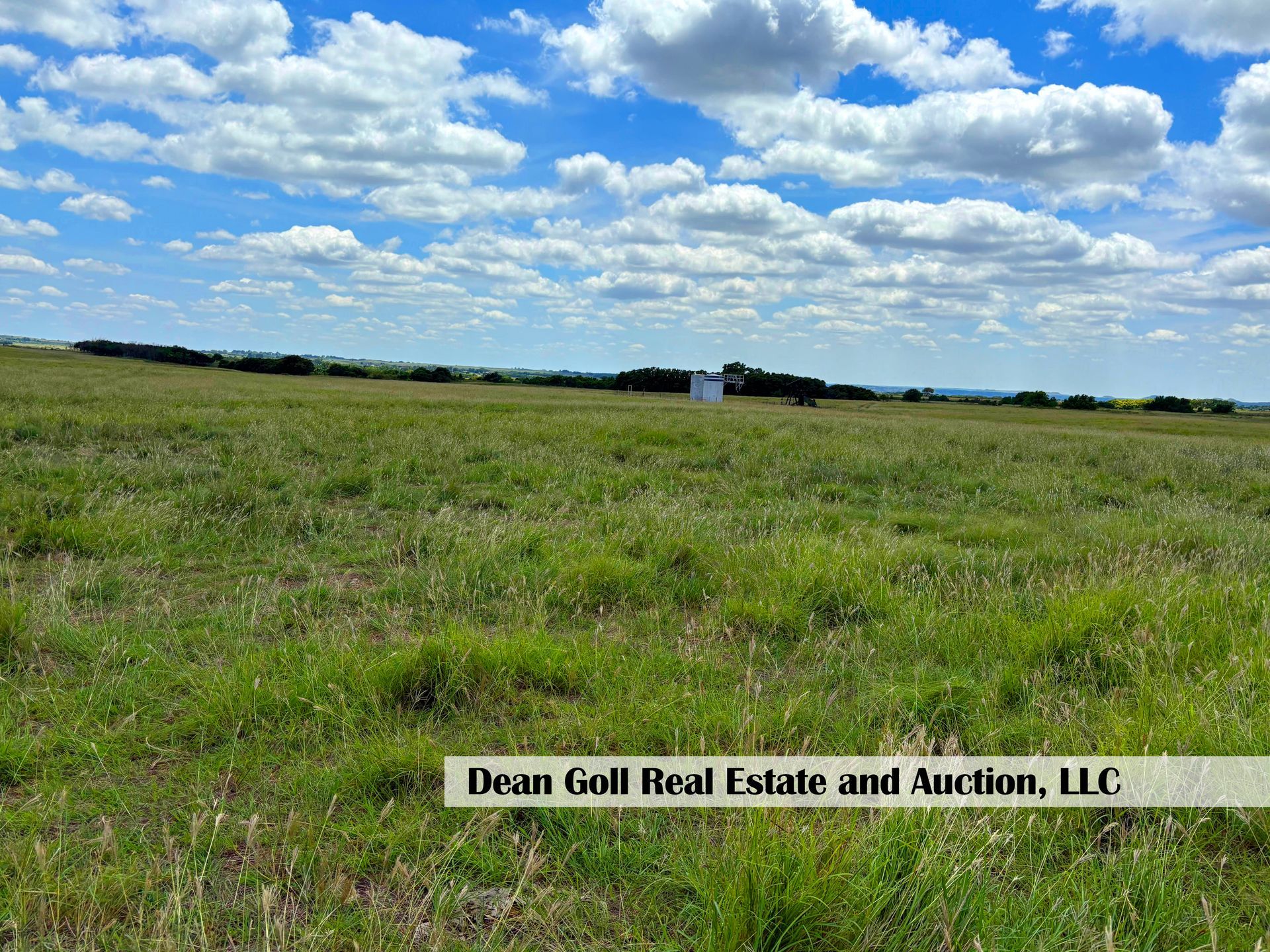 A grassy field under a bright blue sky with puffy white clouds, and a small building in the distance.