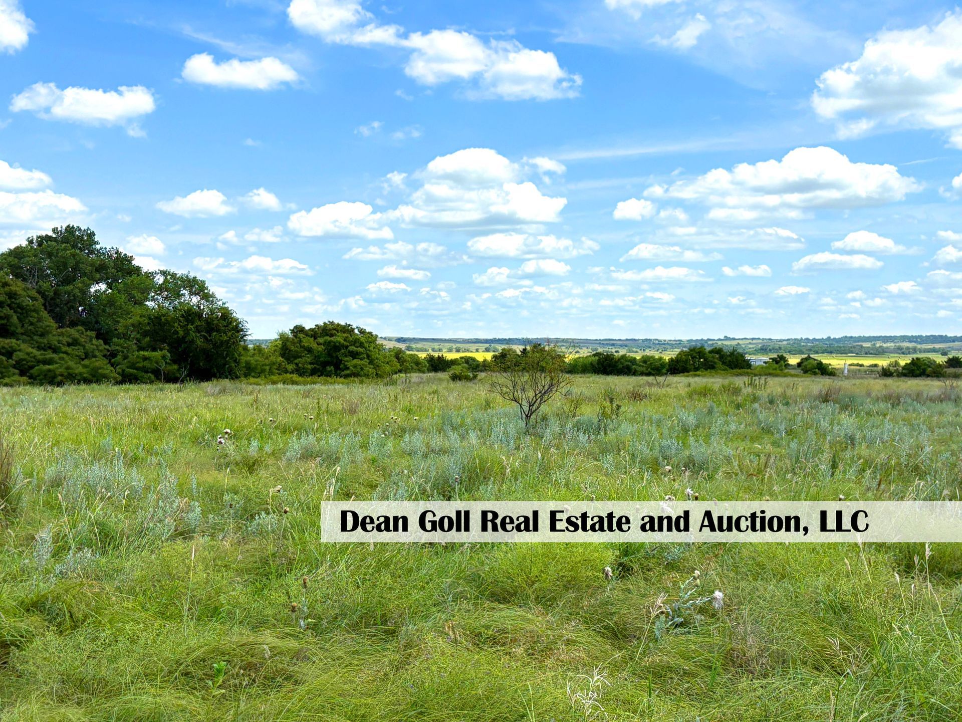 Green field under a blue sky dotted with clouds, with a few trees in the distance.