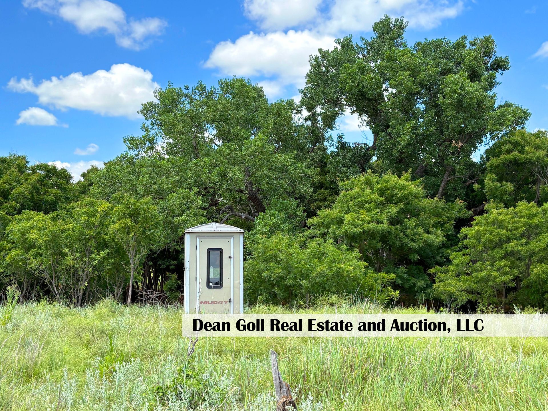 A portable toilet in a grassy field, with trees in the background under a blue sky.