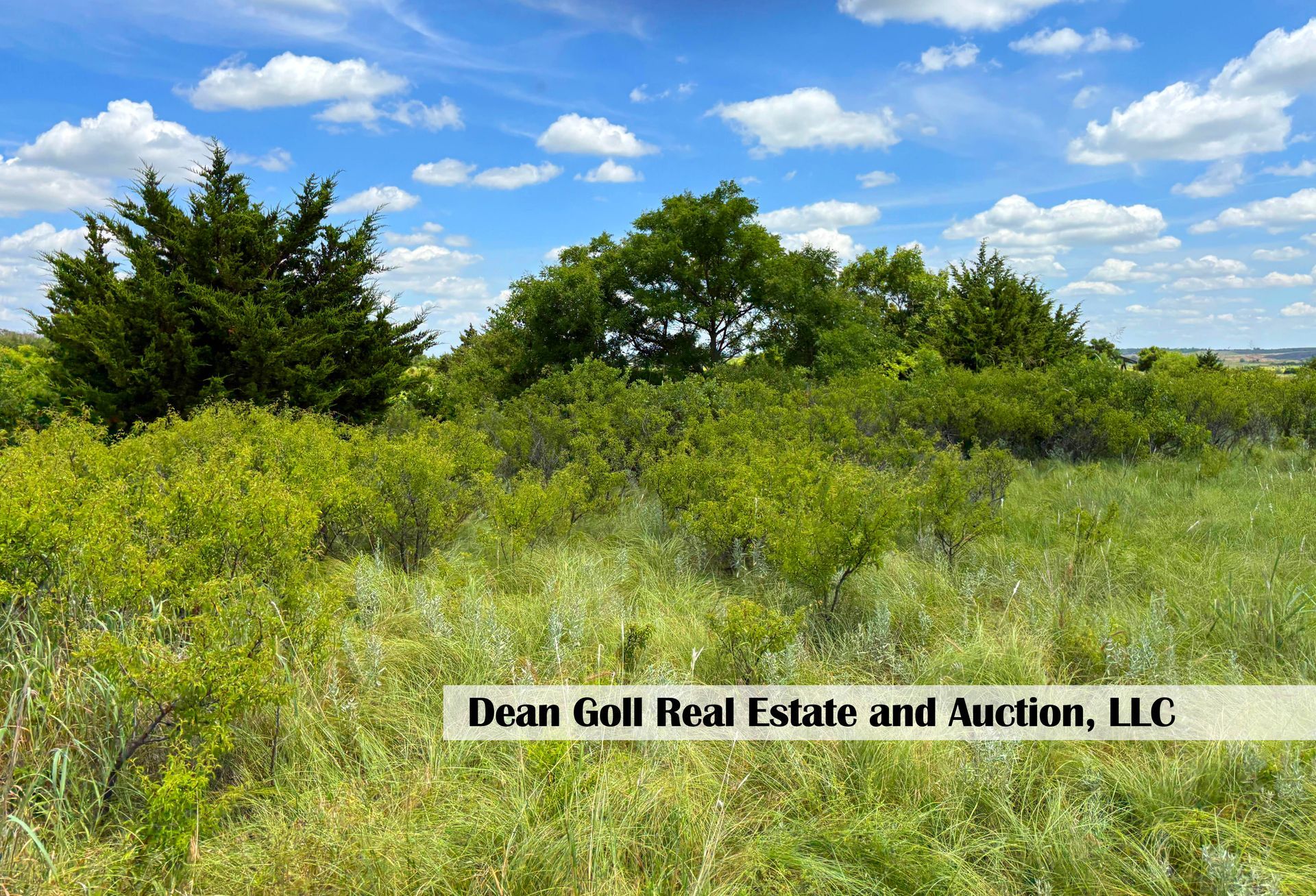 Grassy field with green shrubs and trees under a blue sky with scattered clouds.
