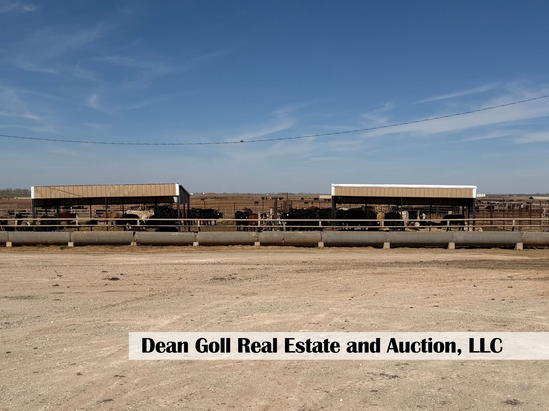 Two cattle shelters stand in a dry, open field under a clear blue sky, with a long water trough in the foreground.