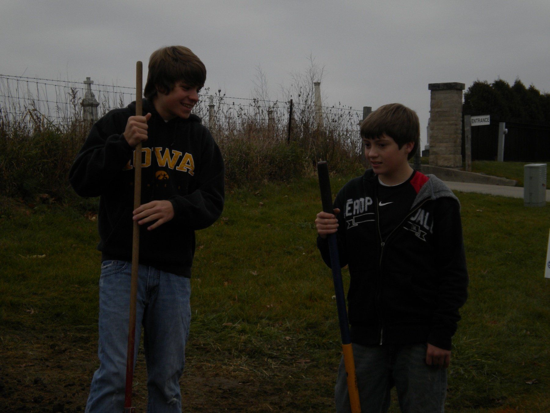 Innovative Landscape Design