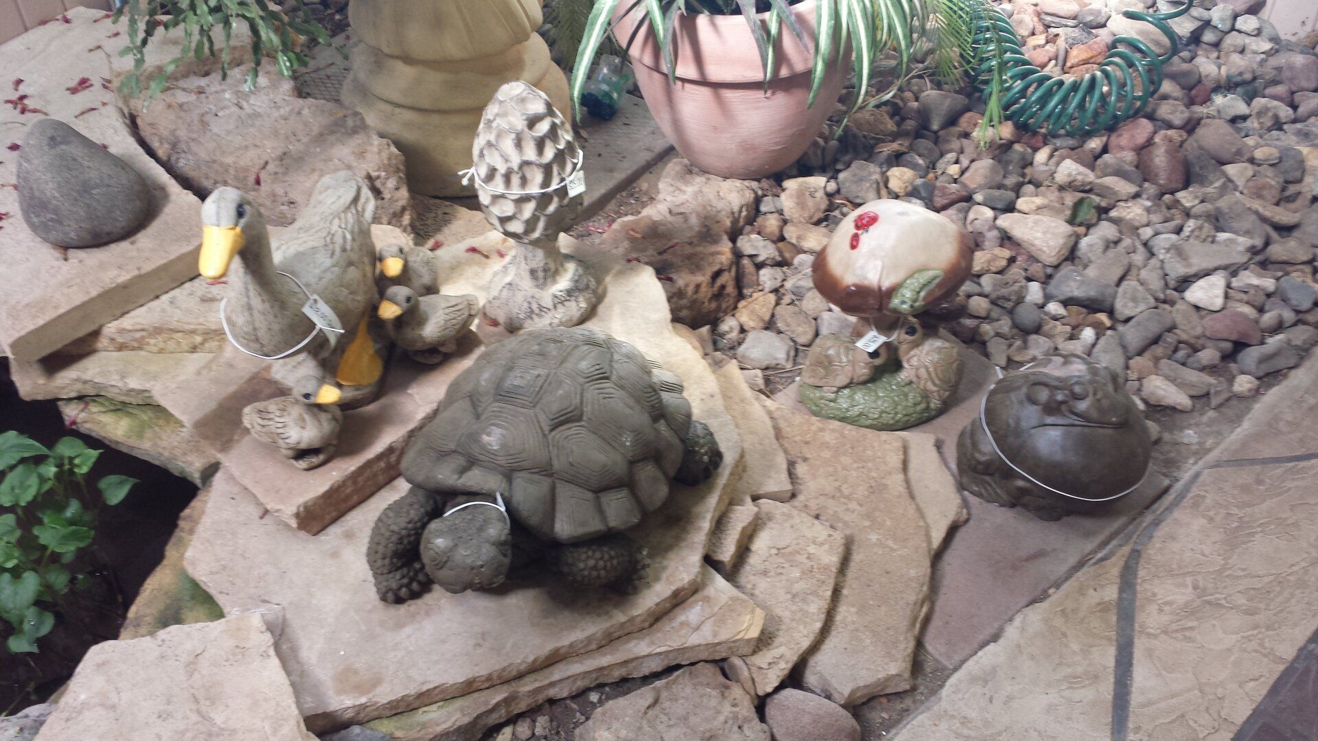 Hardscape Decor