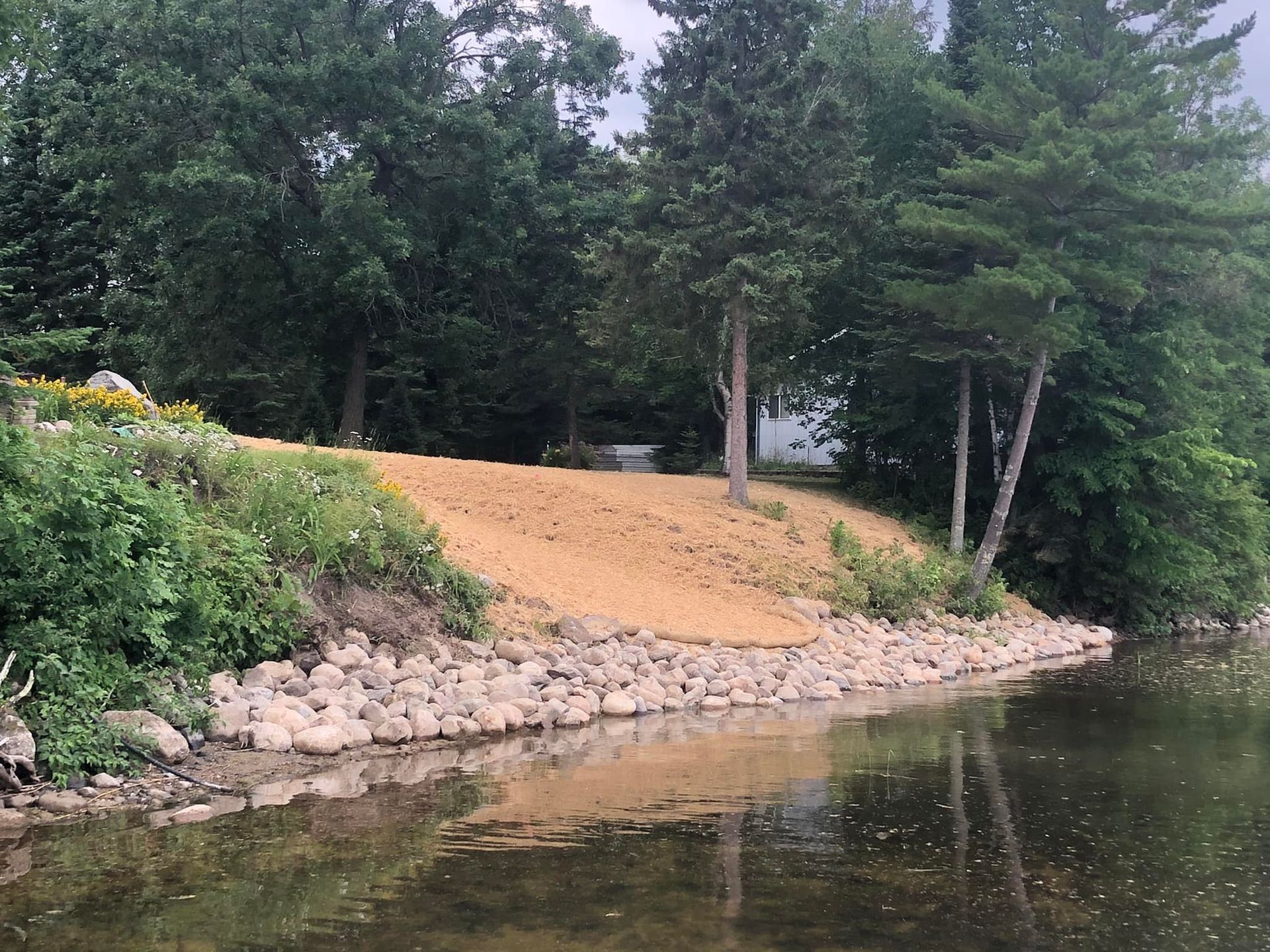 Shoreline beautification