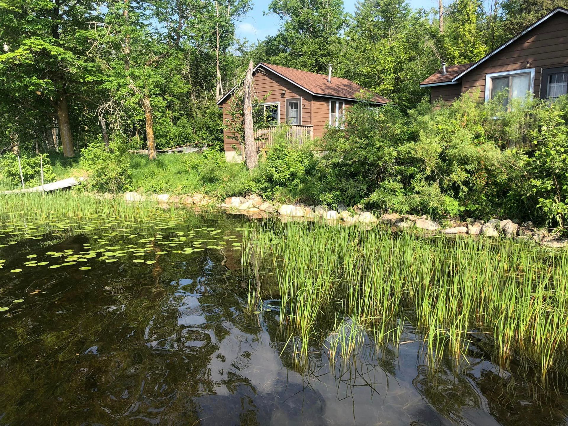 Shoreline beautification