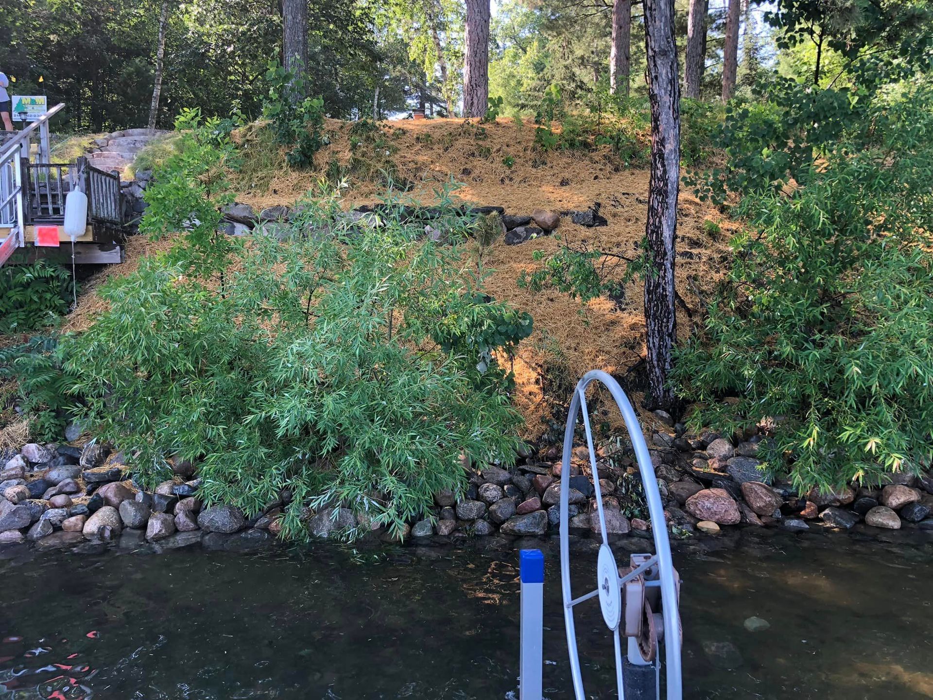 Shoreline beautification