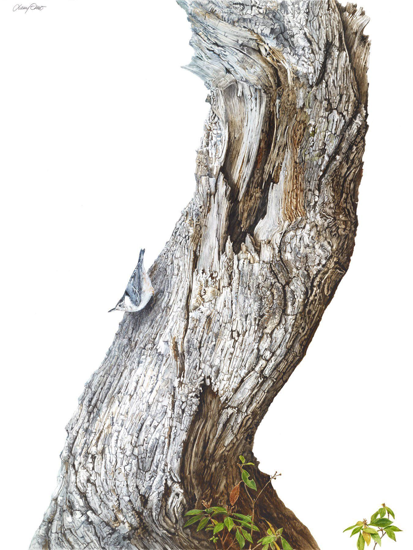 Things Are Looking up