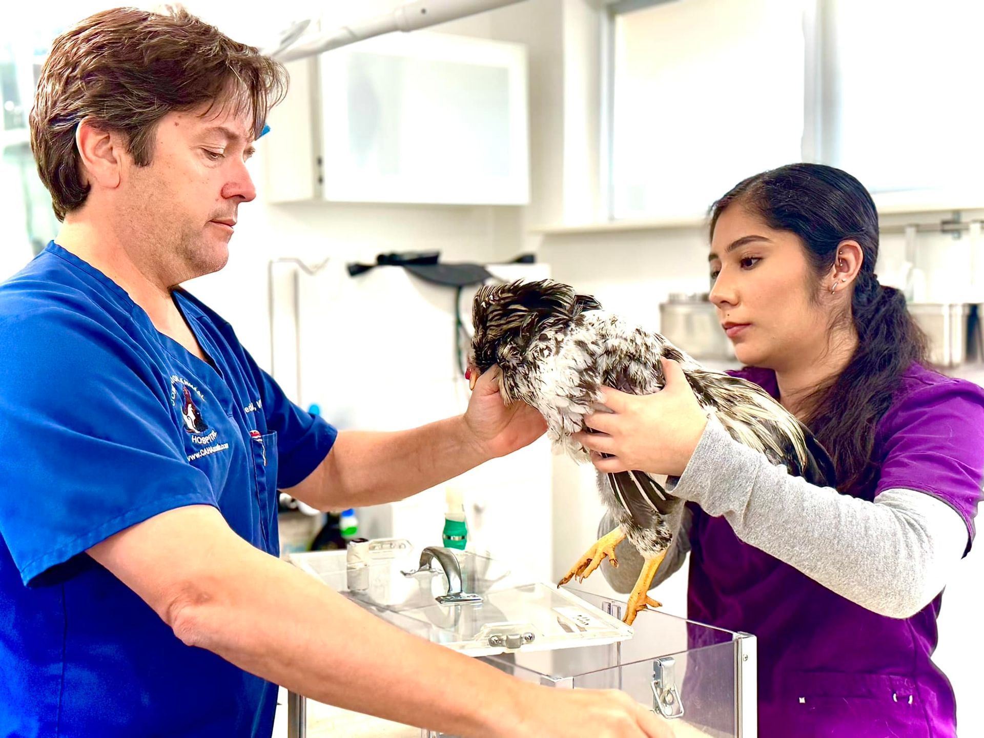 A man and a woman are holding a bird in a veterinary clinic.