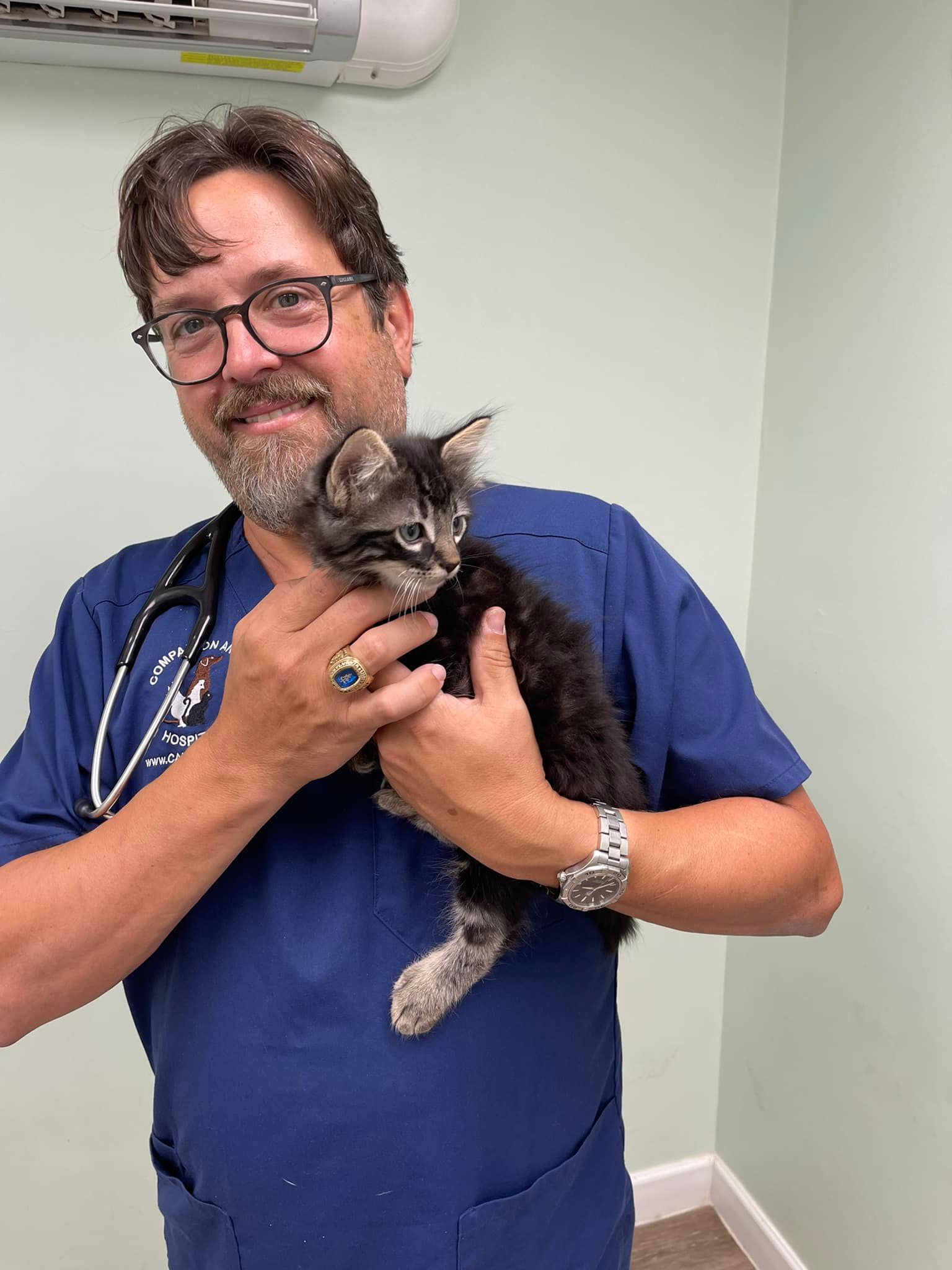 A man in a blue scrub is holding a kitten in his arms.