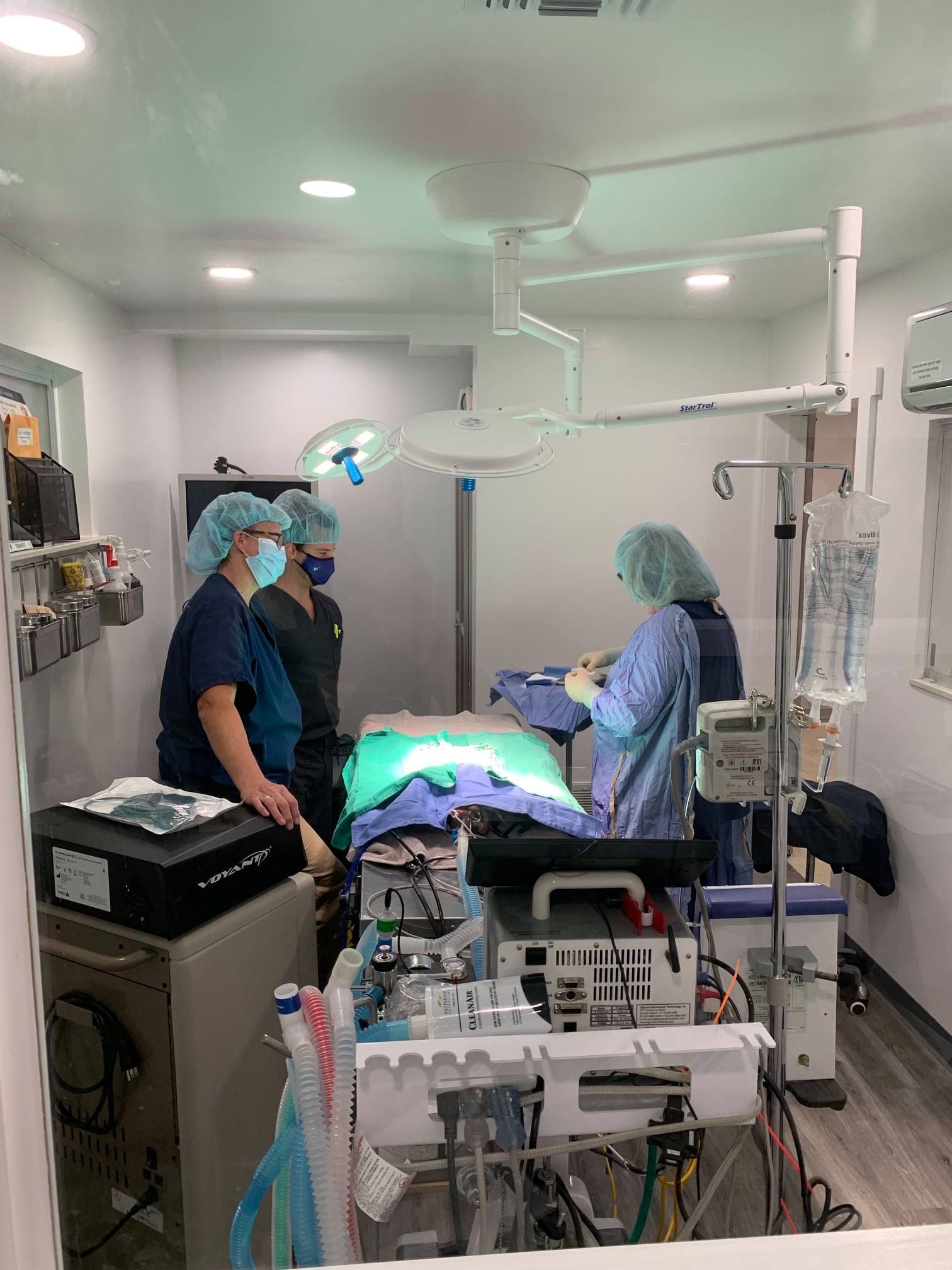 A group of surgeons are operating on a dog in an operating room.