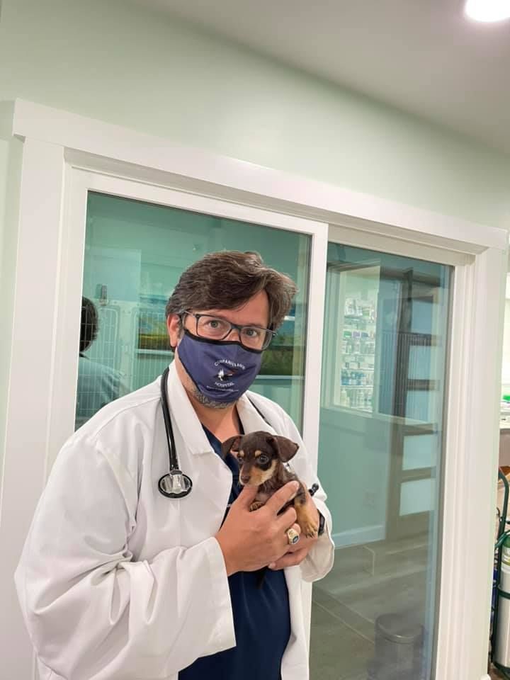 A man wearing a mask is holding a small dog.