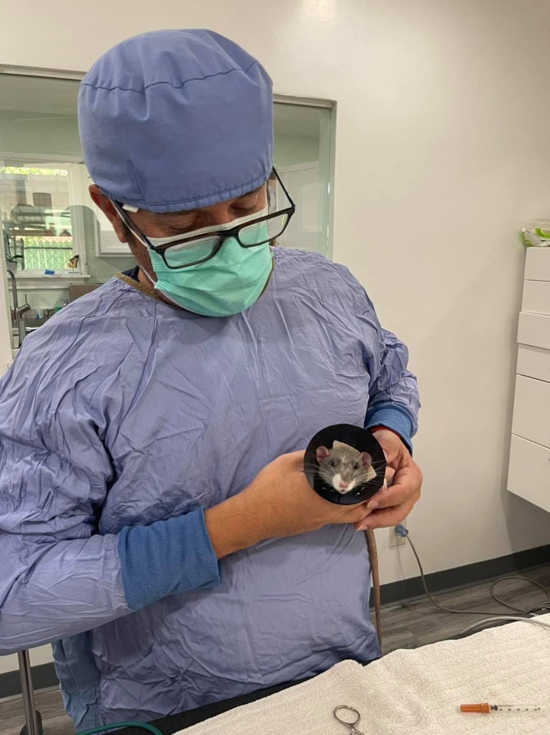 A surgeon is holding a small animal in his hands in an operating room.