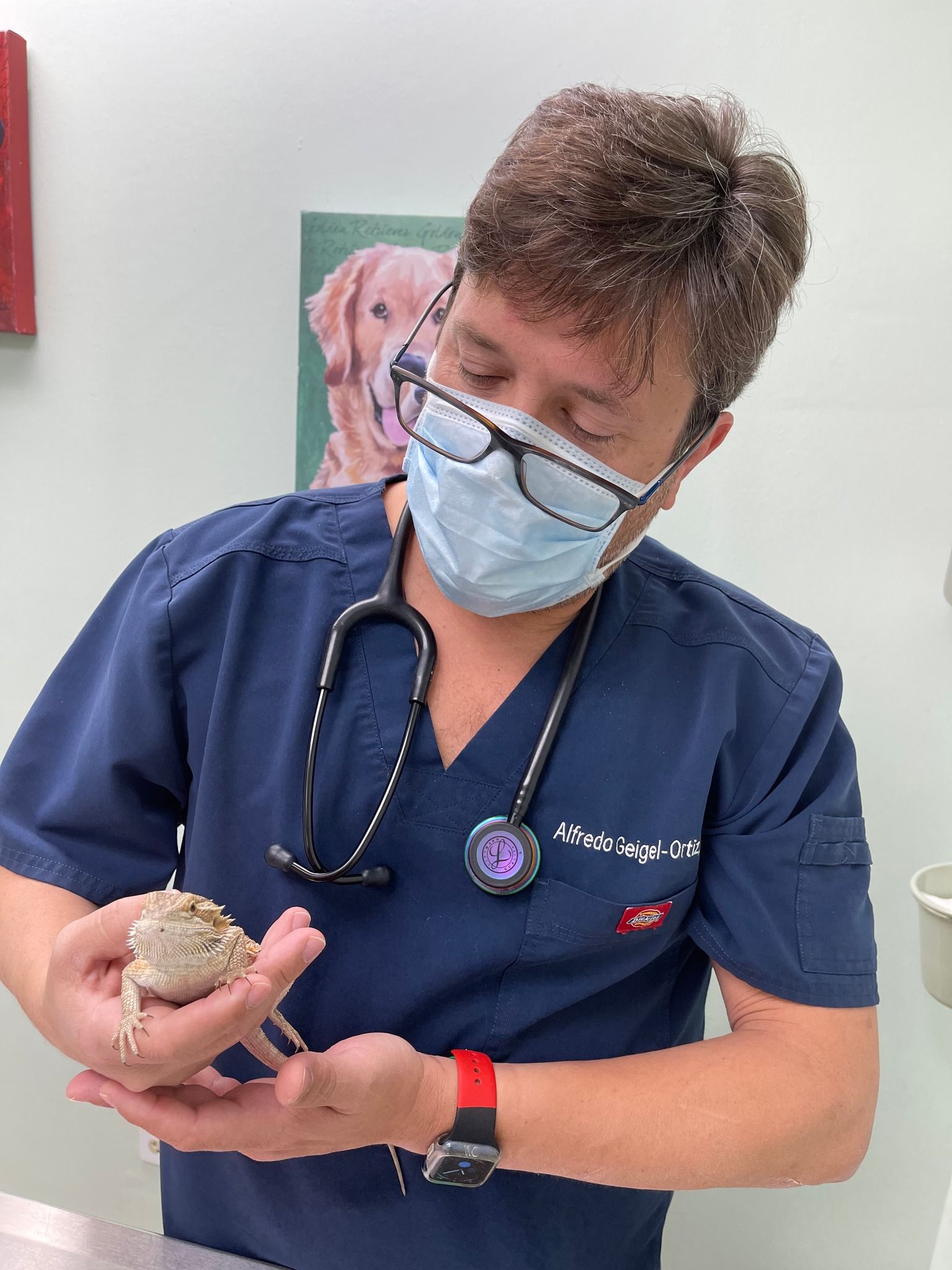 A veterinarian wearing a mask and glasses is holding a lizard in his hands.