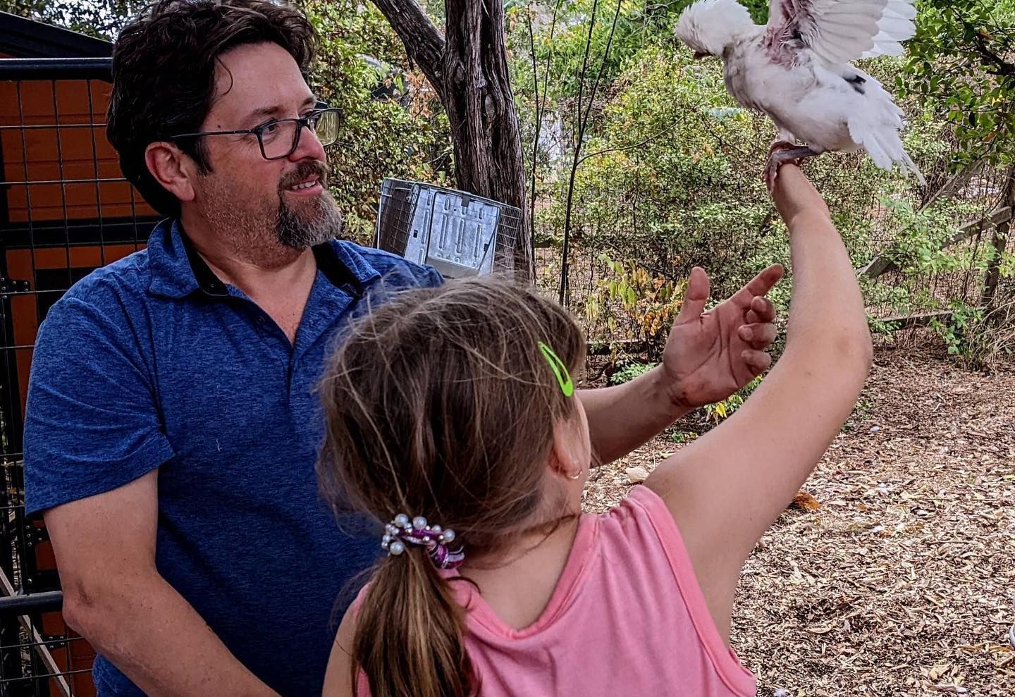 A little girl is holding a white bird in her hand while a man looks on.