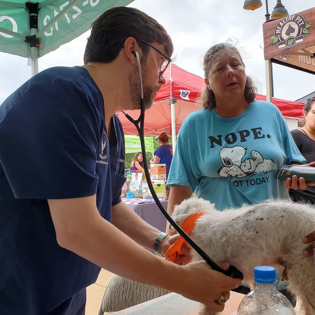 A man is using a stethoscope on a dog while a woman wearing a nope shirt looks on.