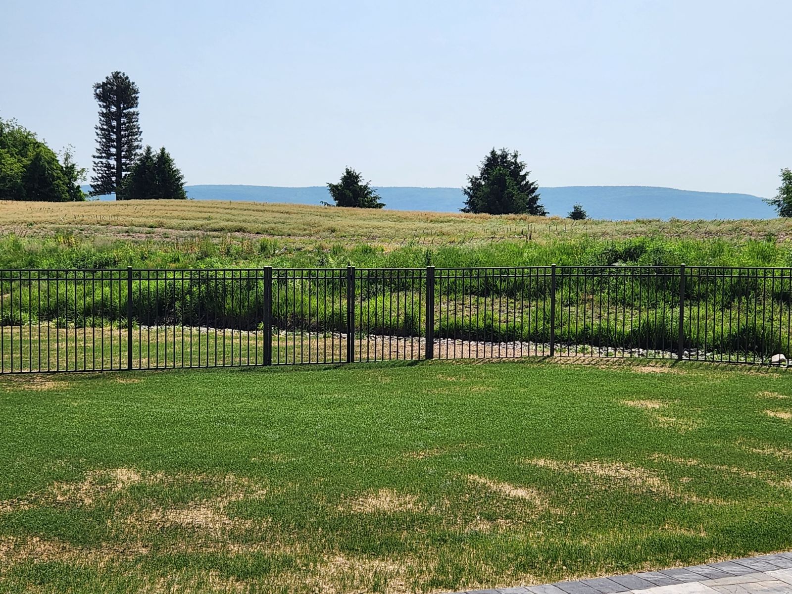 A fence surrounds a lush green field with mountains in the background